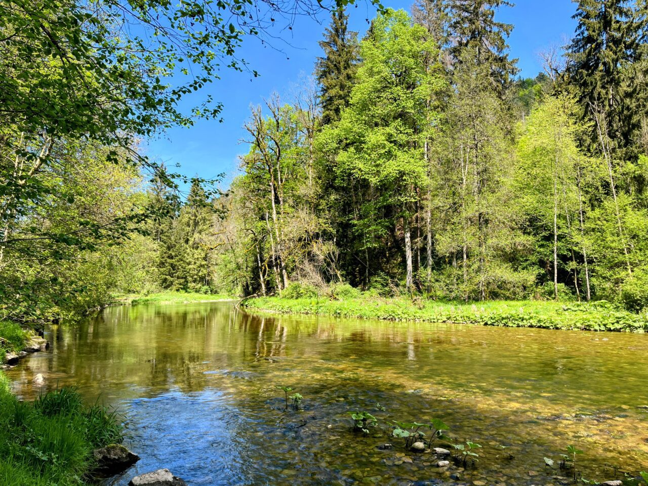 wanderung_schluchtensteig_schwarzwald_