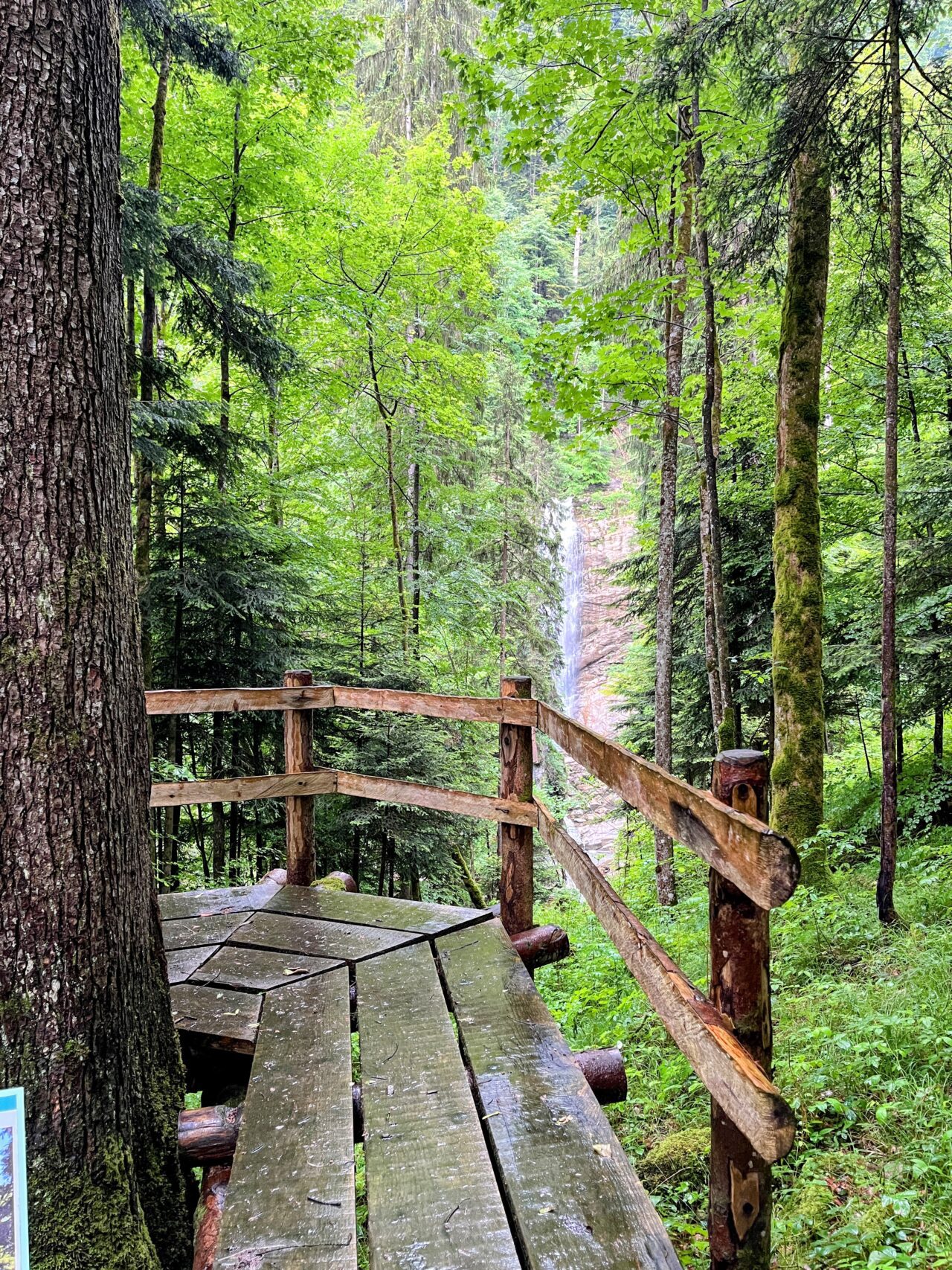 trans_swiss_trail_glaubenbielen_giswil_