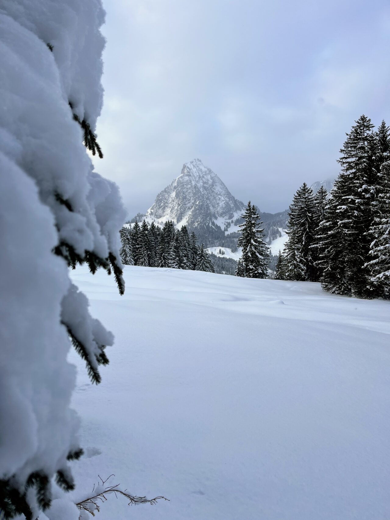 schneeschuhwanderung-furggelenstock-_IMG_9247