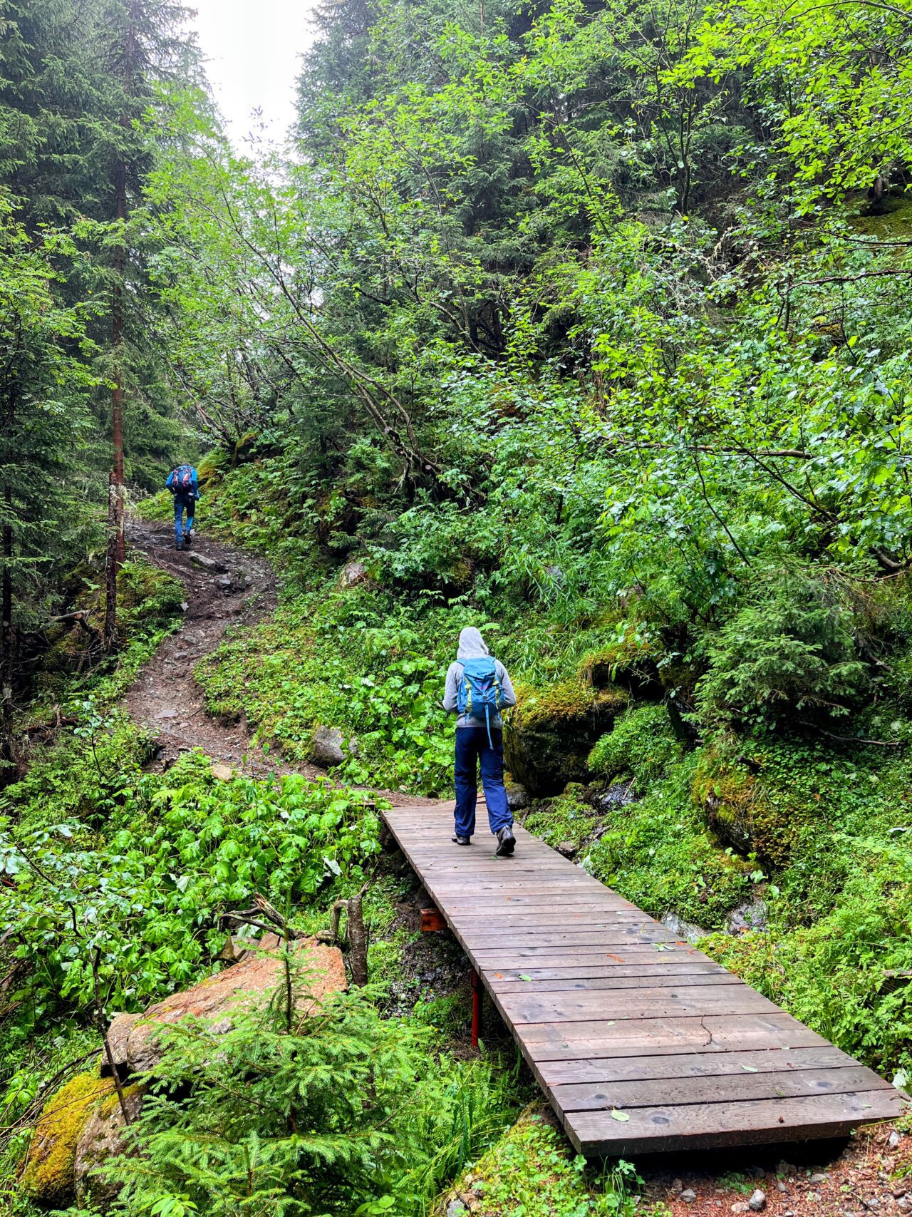 wanderung_amberger_hütte_