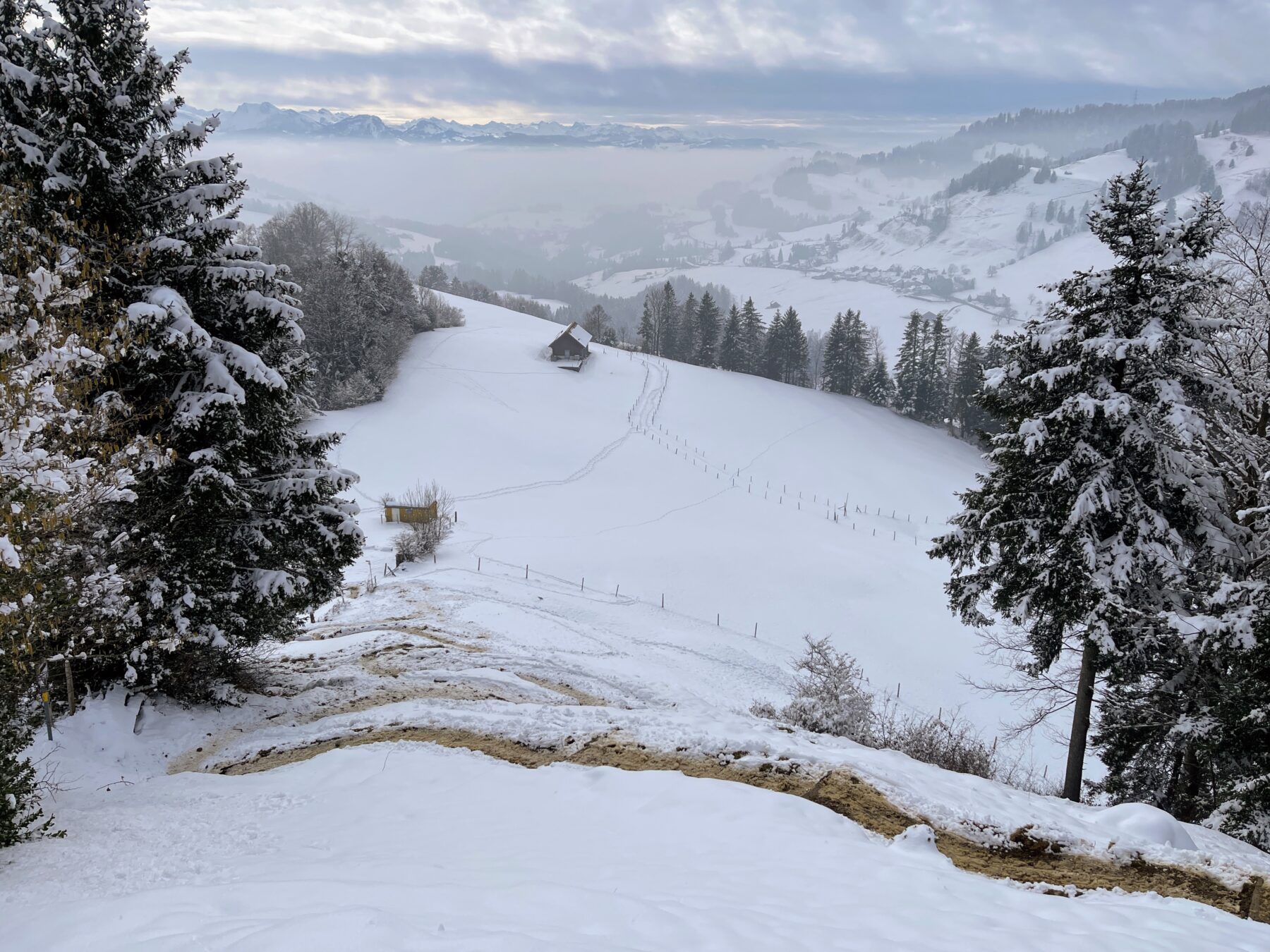 schneeschuhwanderung_atzmaennig_chruezegg_