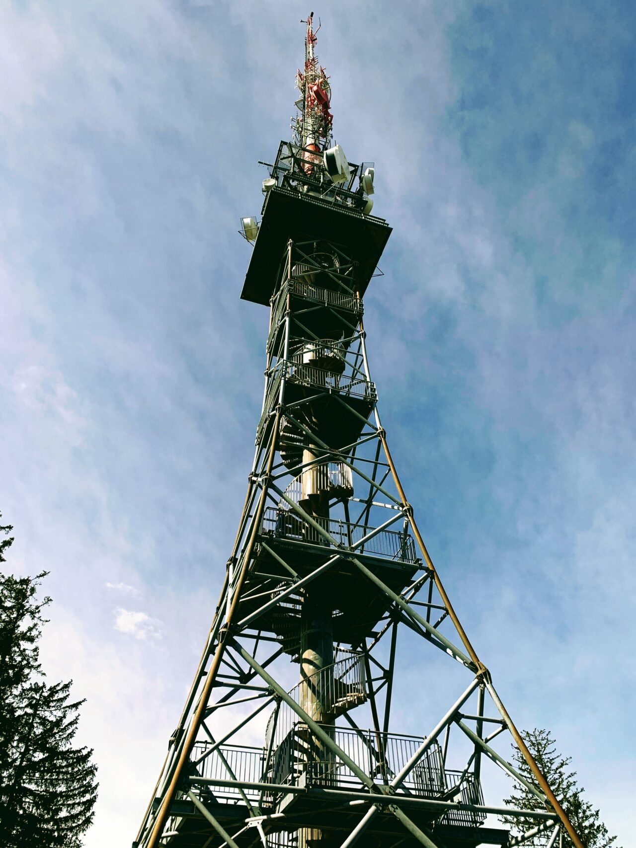wanderung_bachtel_bachtelspalt_wald_