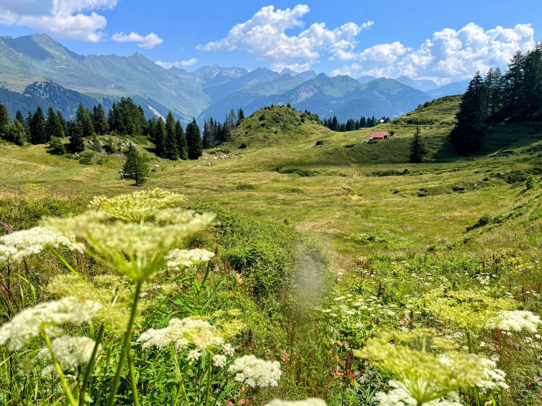 wanderung_alpenpässeweg_airolo_allacqua_