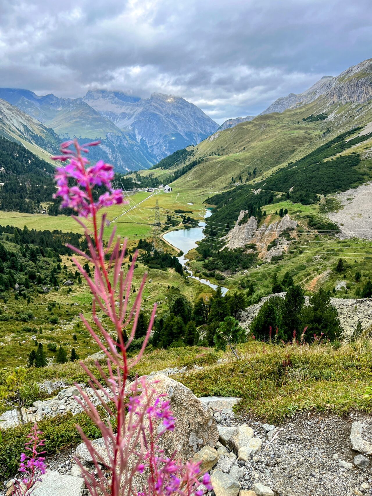 wanderung_bernina_trek_tag_2_eschahuette_jenatschuette_