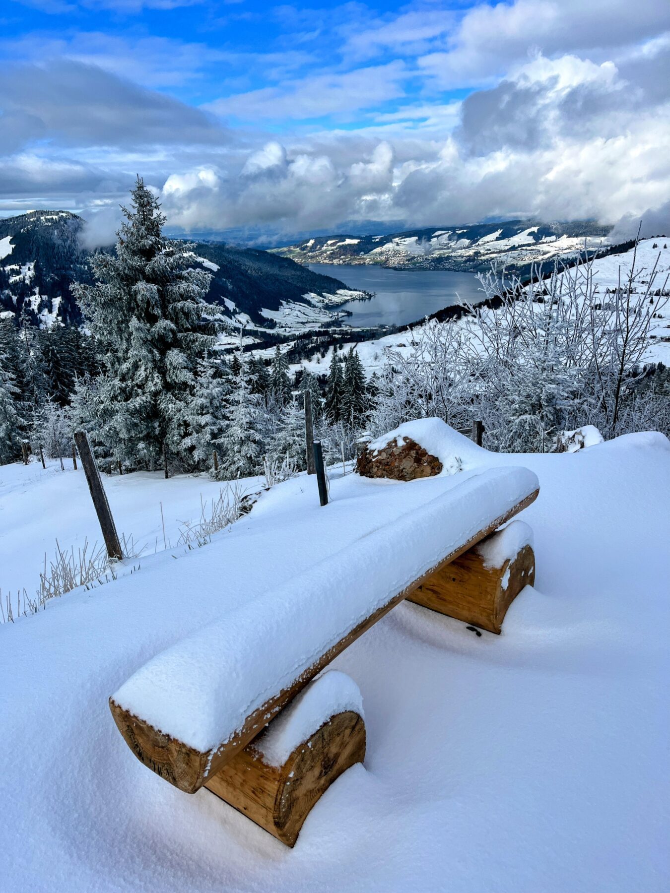 schneeschuhtour_biberegg_hochstuckli_haengebruecke__IMG_2162