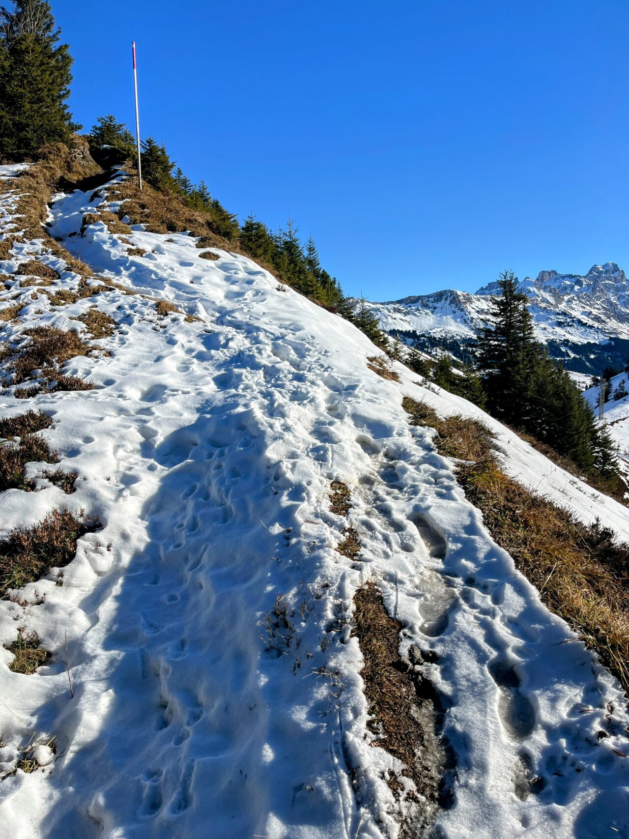 Schneeschuhe_winterwandern_eggberge_hueenderegg_ratzi__IMG_5649