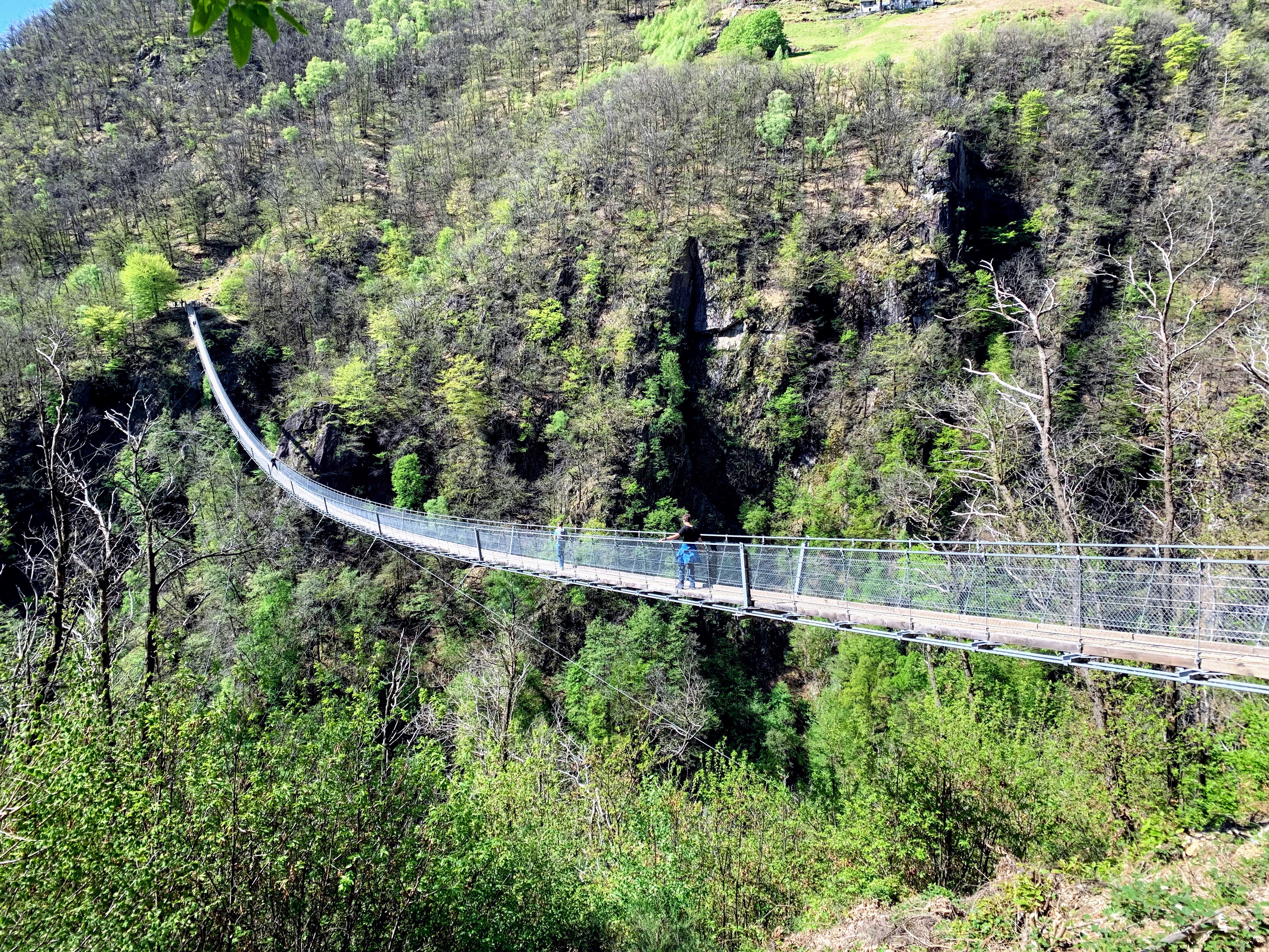 wanderung_tibetische_haengebruecke_carasc_