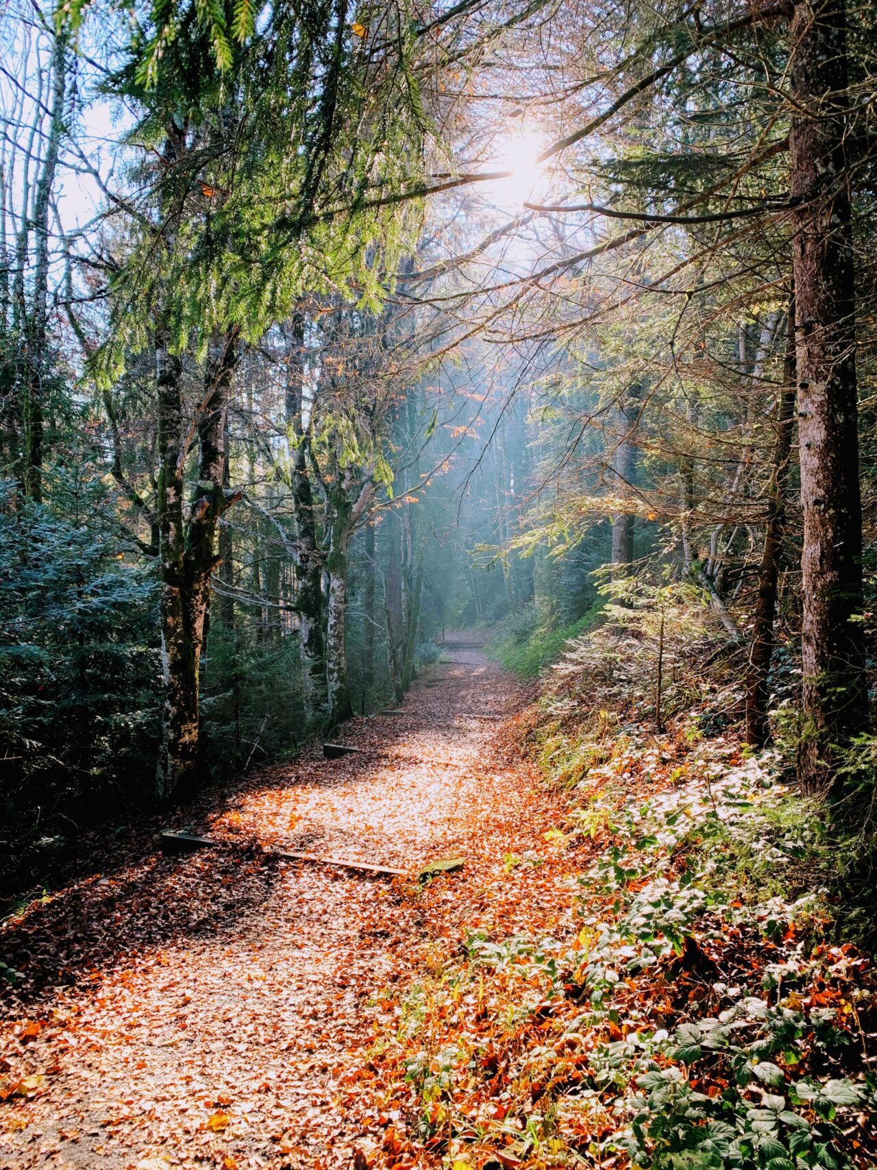 wanderung_etzel_einsiedeln_