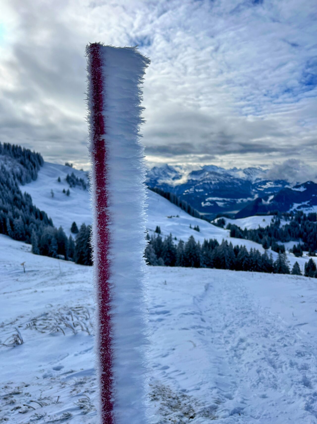 schneeschuhtour_biberegg_hochstuckli_haengebruecke__IMG_2149