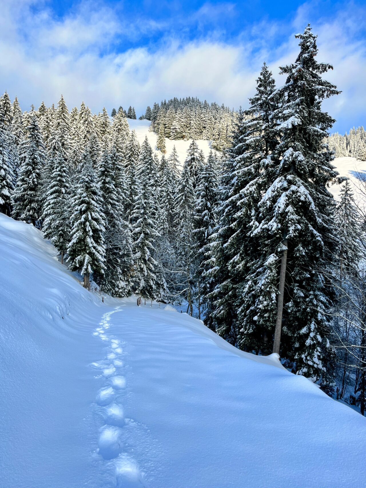 schneeschuhwanderung_wildspitz__IMG_2207