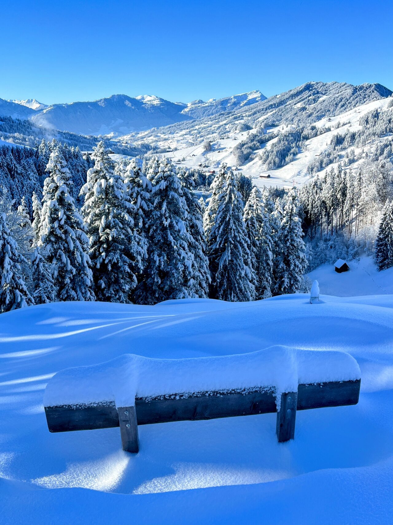 schneeschuhwanderung_rothenthurm_ahoren_biberbrugg__IMG_2348