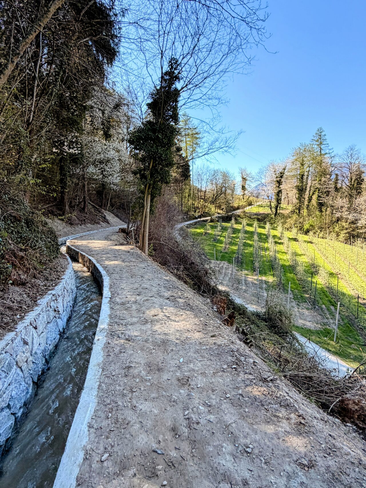 wanderung_maiser_waalweg_tappeinerweg_dorf_tirol_