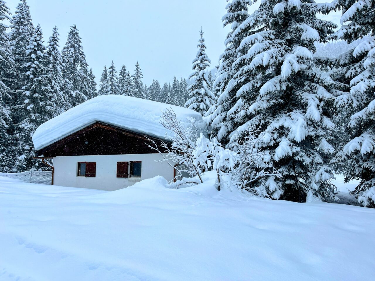 winterwanderung_lech_zug_vorderes_aelpele__IMG_4513