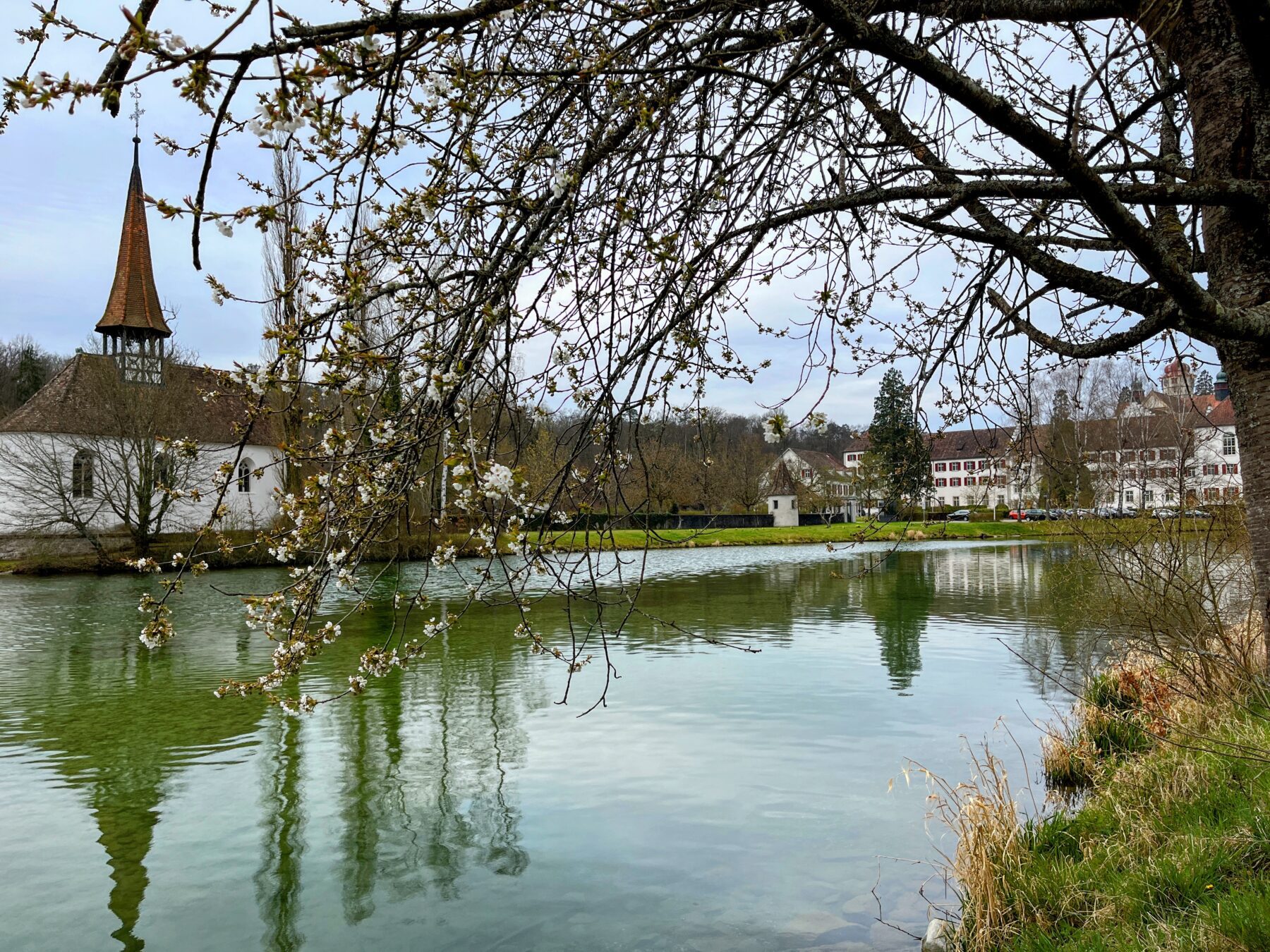 wanderung_rheinau_rheinfall_schaffhausen_