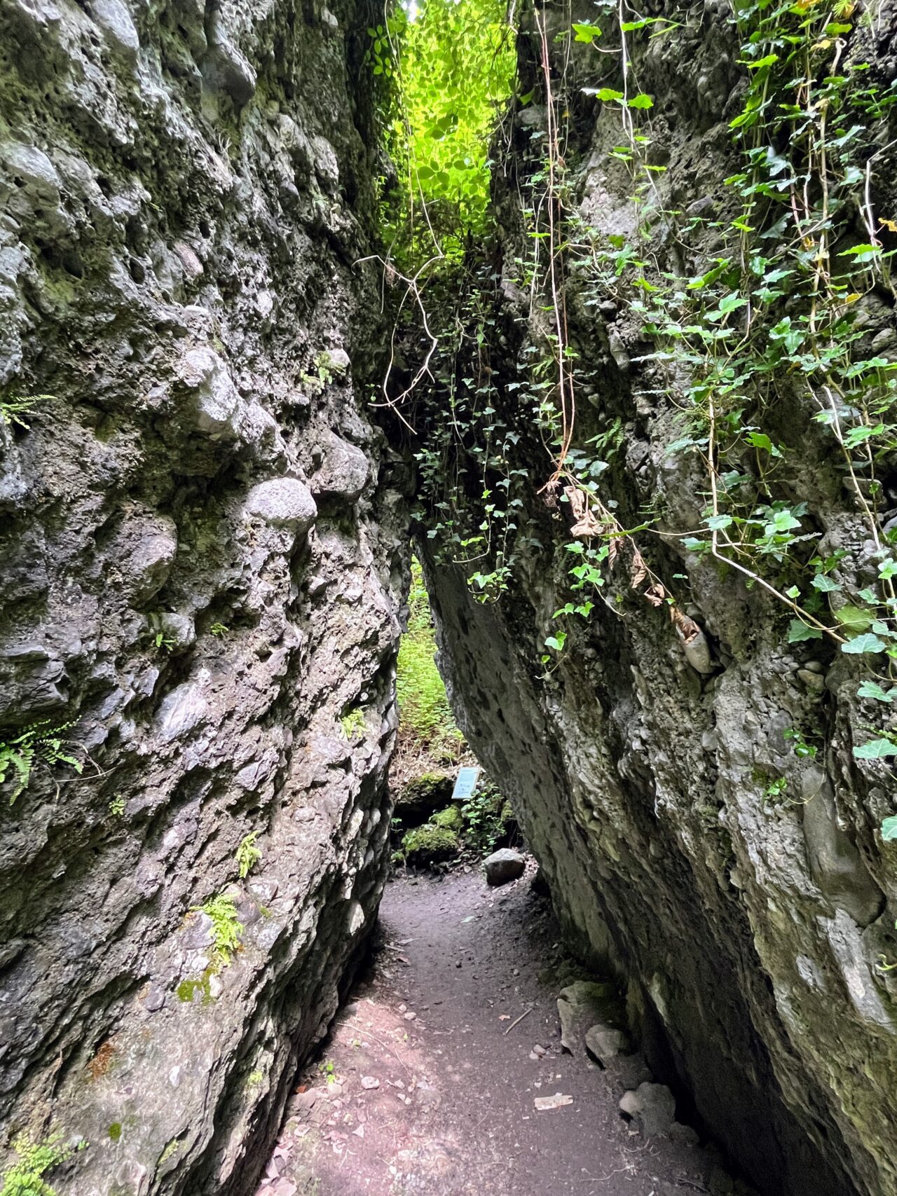 wanderung_bürser_schlucht_