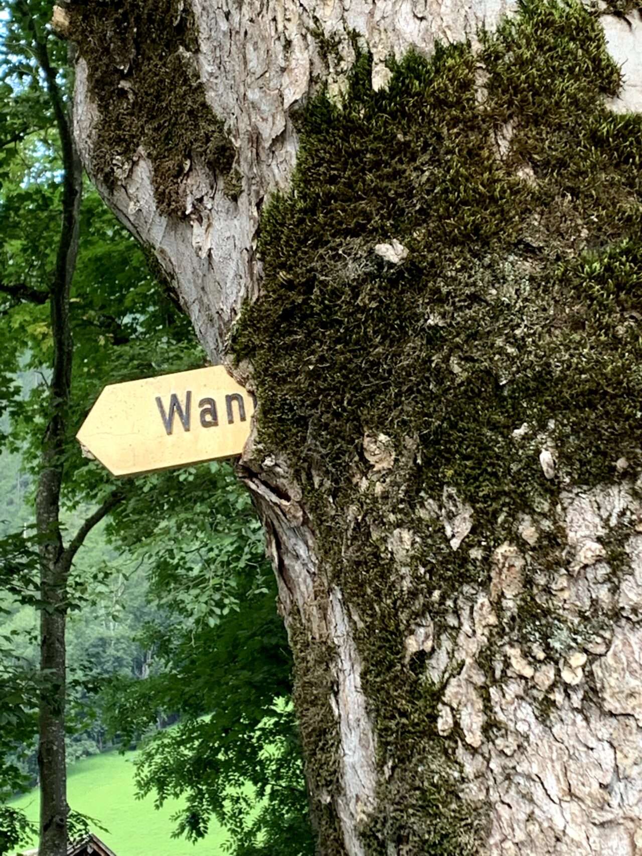 wanderung_martinsmadhuette_