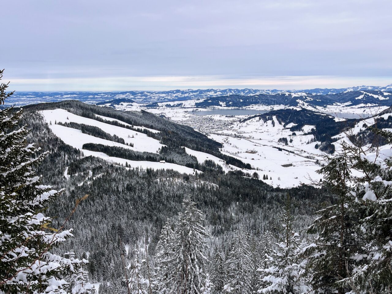 schneeschuhwanderung_rothenthurm-nüsselstock-brunni__IMG_5567
