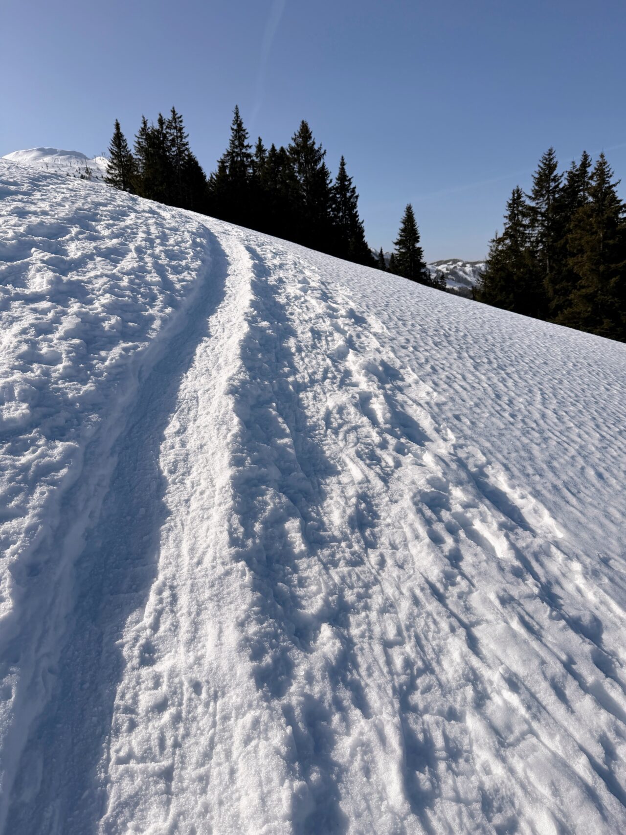 schneeschuhsafari_graubuenden_braembruesch_feldis__IMG_0516