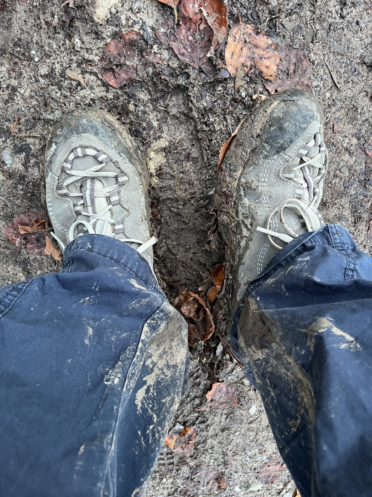 wanderung_teehuette_fallaetsche_