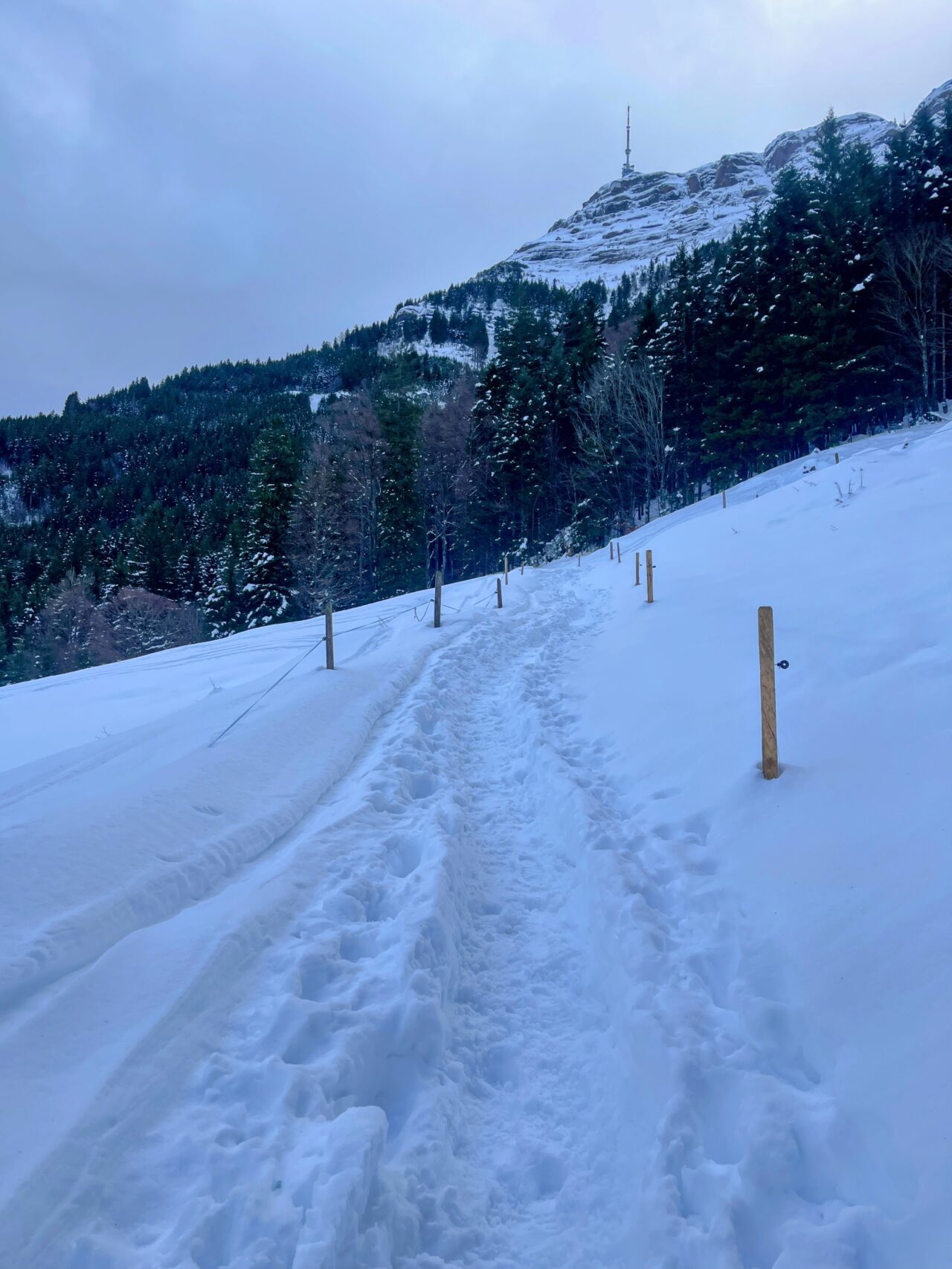 schneeschuhwanderung-seebodenalp-rigistaffel-rotstock-chaenzeli-_IMG_8092