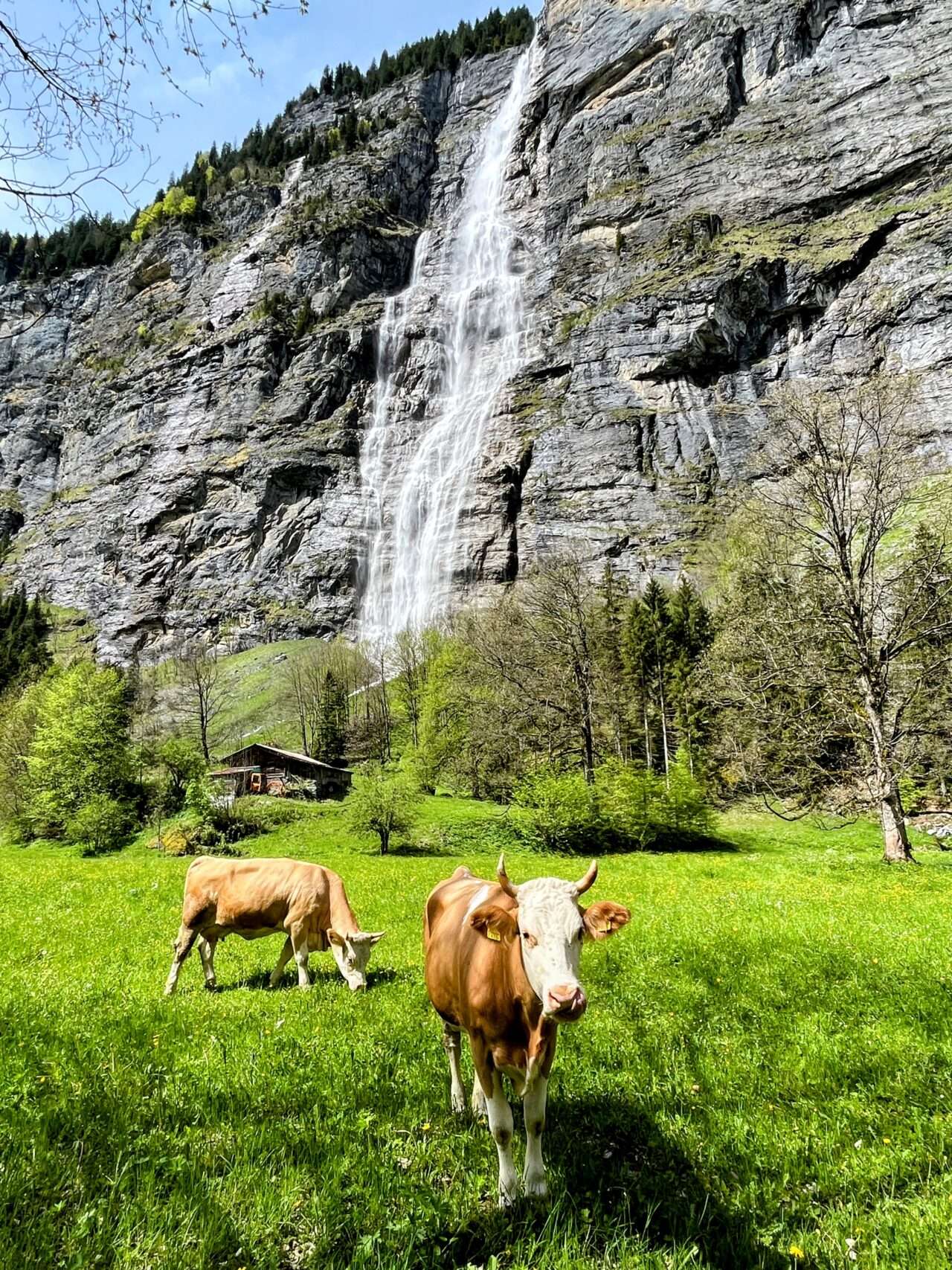 wanderung_stechelberg_lauterbrunnen_