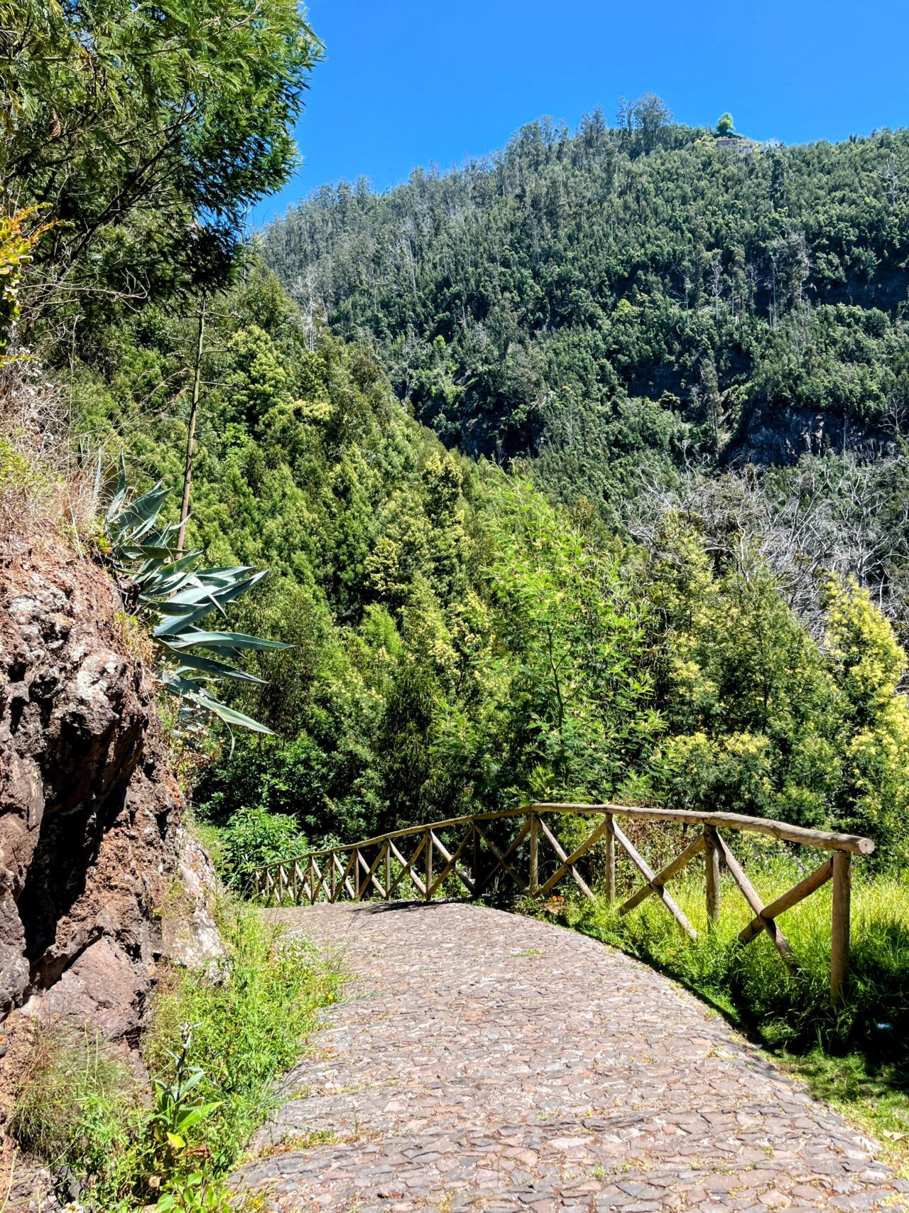 wanderung_monte_botanischer_garten_funchal_
