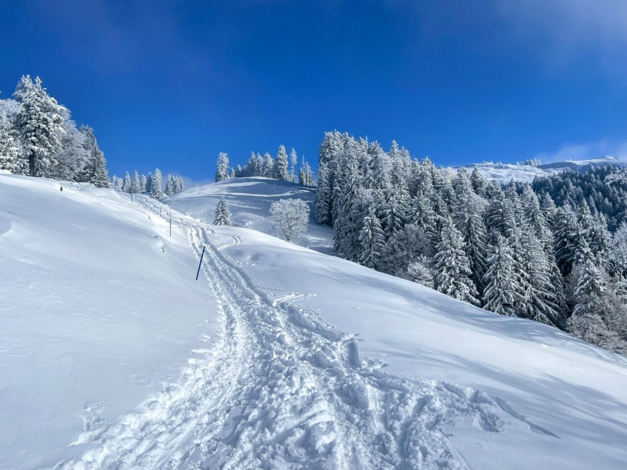 schneeschuhwanderung_rieden_tanzboden_