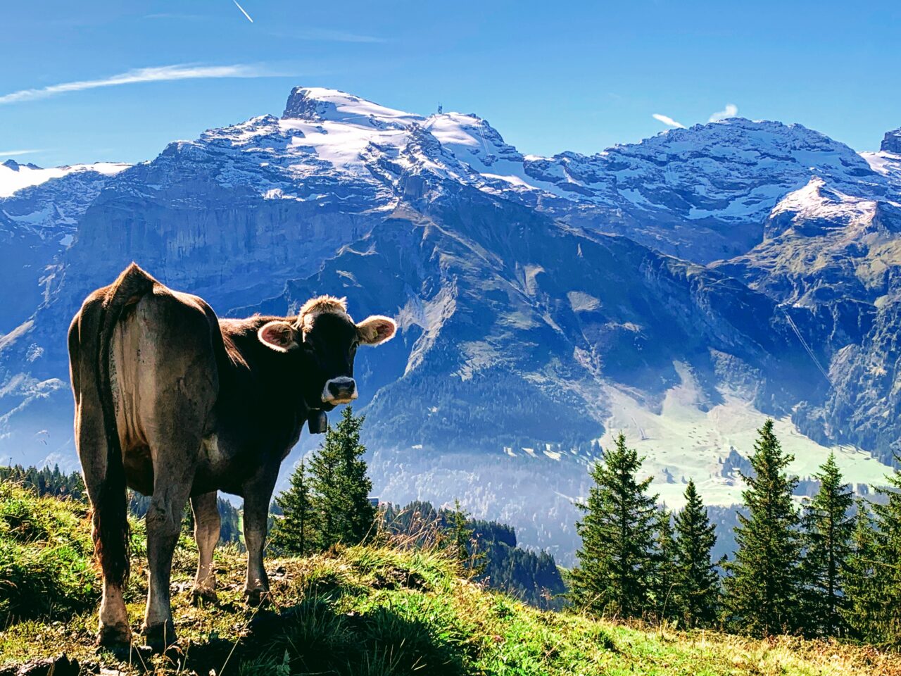 wanderung_brunnihuette_
