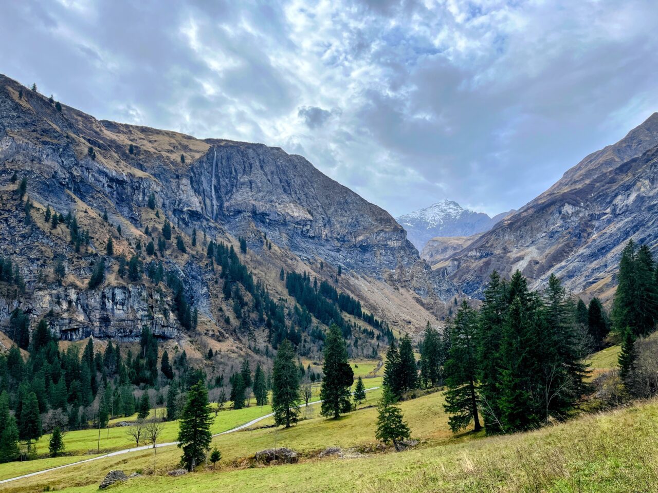 via_alpina_etappe_3_weisstannen_elm_