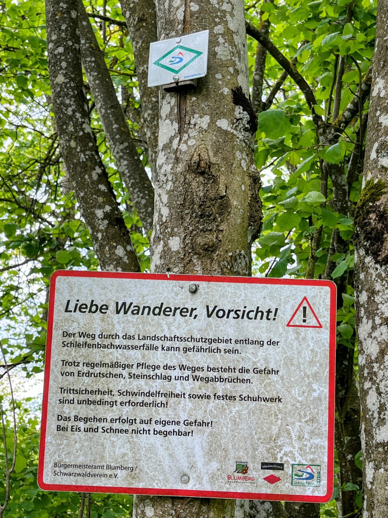 wanderung_schluchtensteig_schwarzwald_