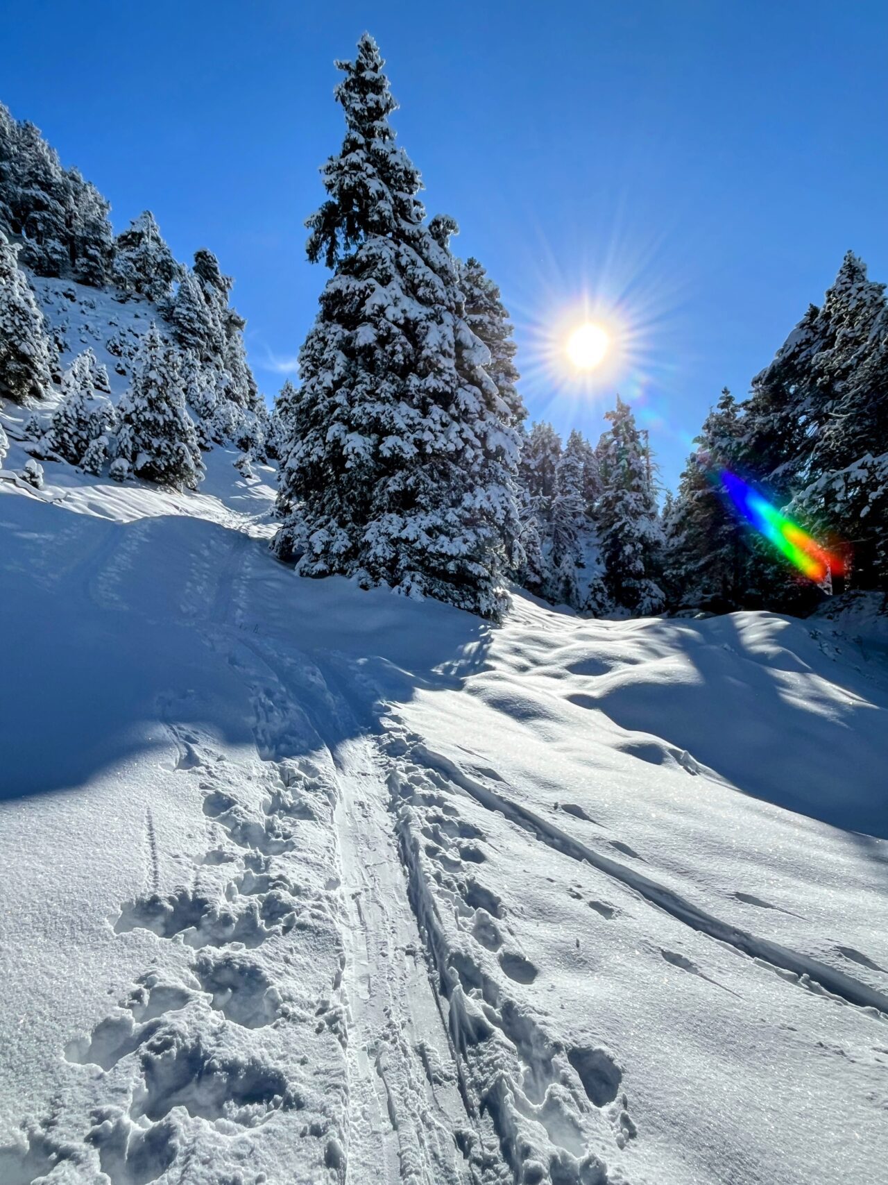 schneeschuhtour_laucherenstoeckli_ibergeregg_brunni__IMG_5758