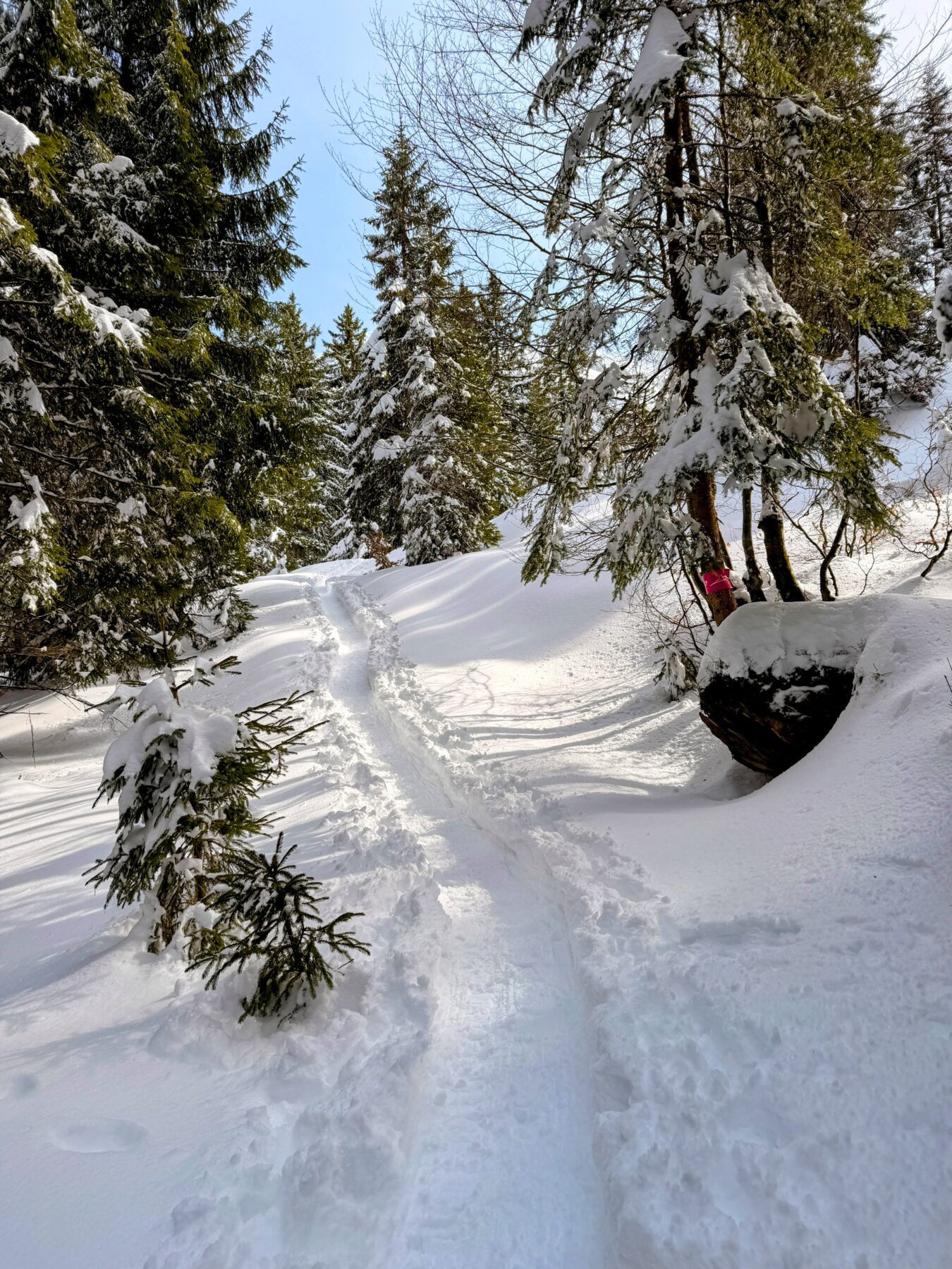 schneeschuhtour_lehmen_kronberg_chammhaldenhuette_schwaegalp__IMG_1403