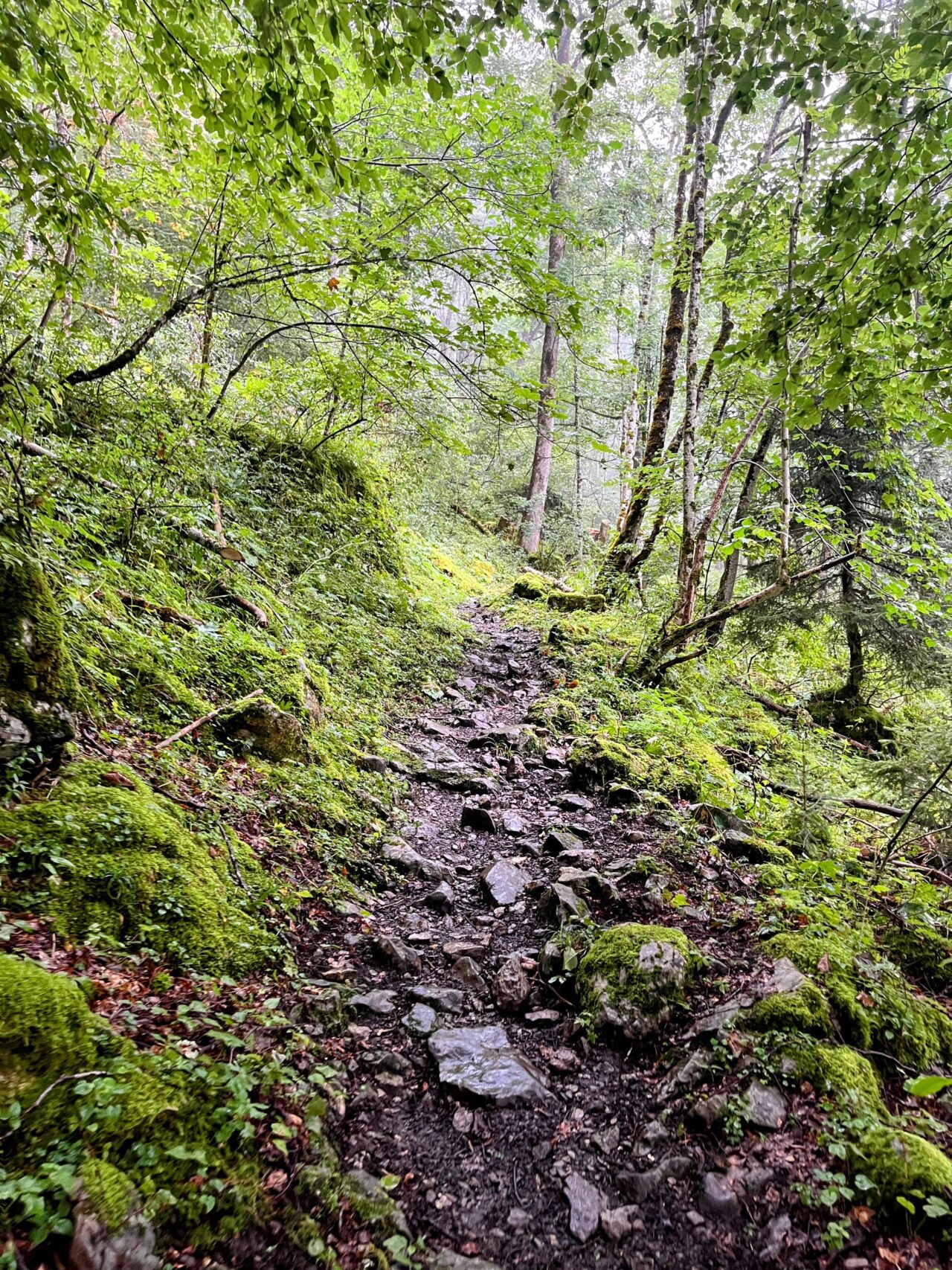 wanderung_glaernischhuette_
