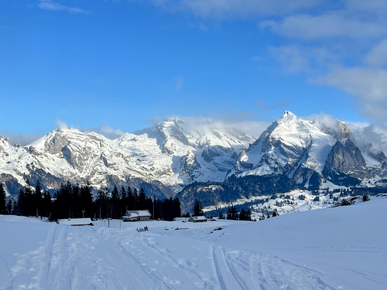 schneeschuhwandern_alp_sellamatt_fruemseltal__IMG_6694