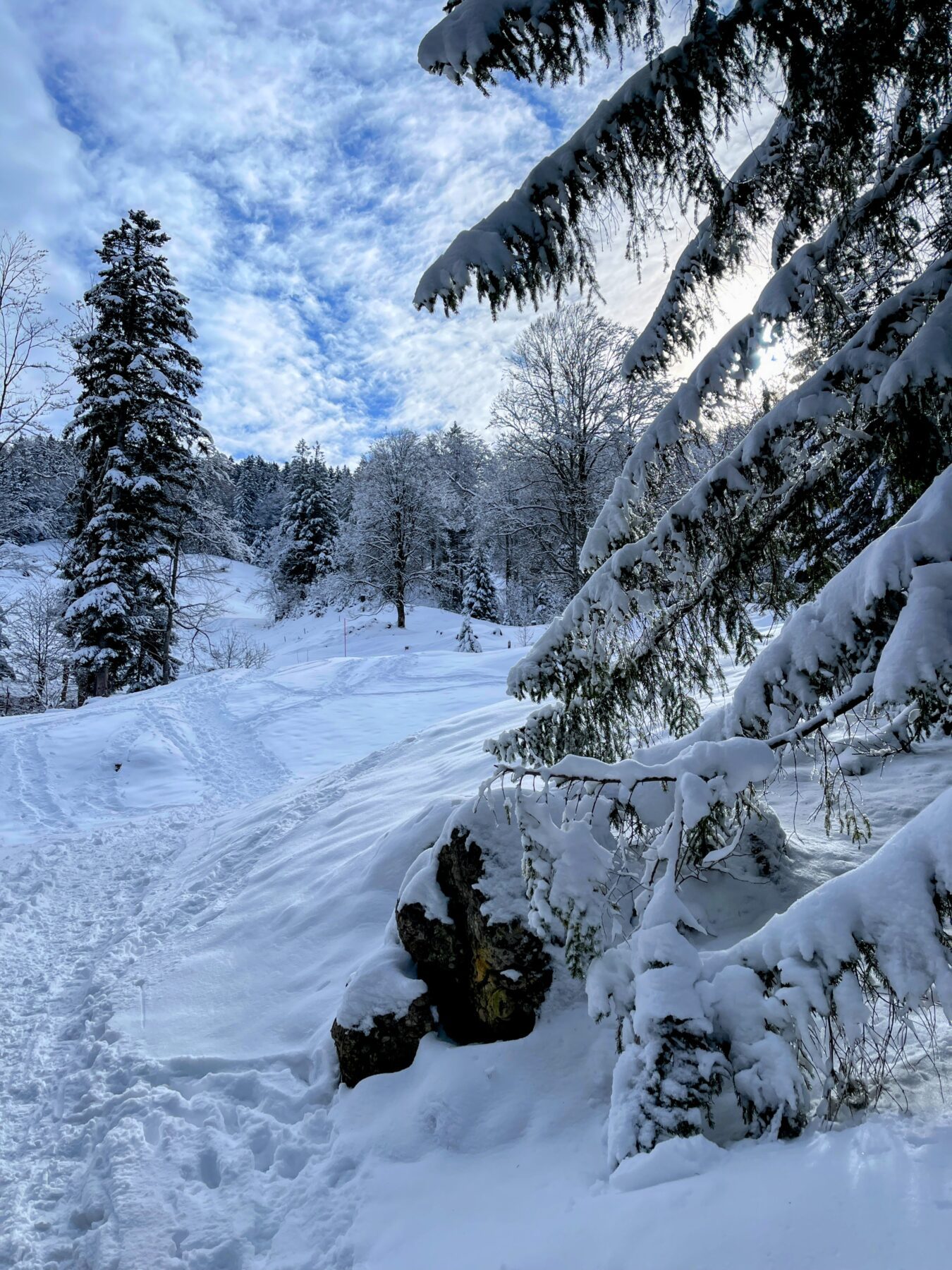 schneeschuhwanderung_atzmaennig_chruezegg_
