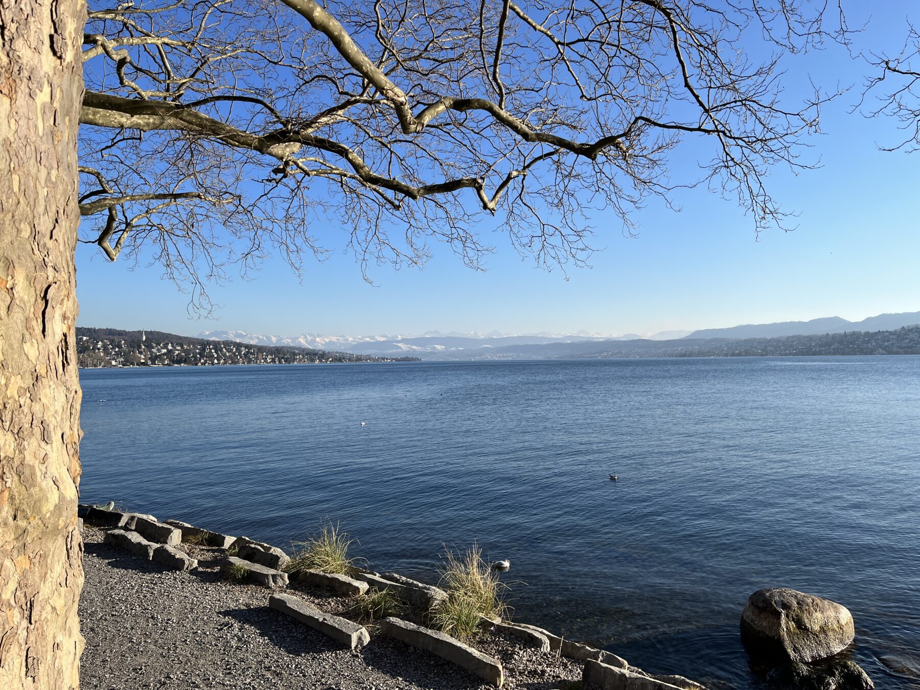 umrundung_zürichsee_zürich_meilen_