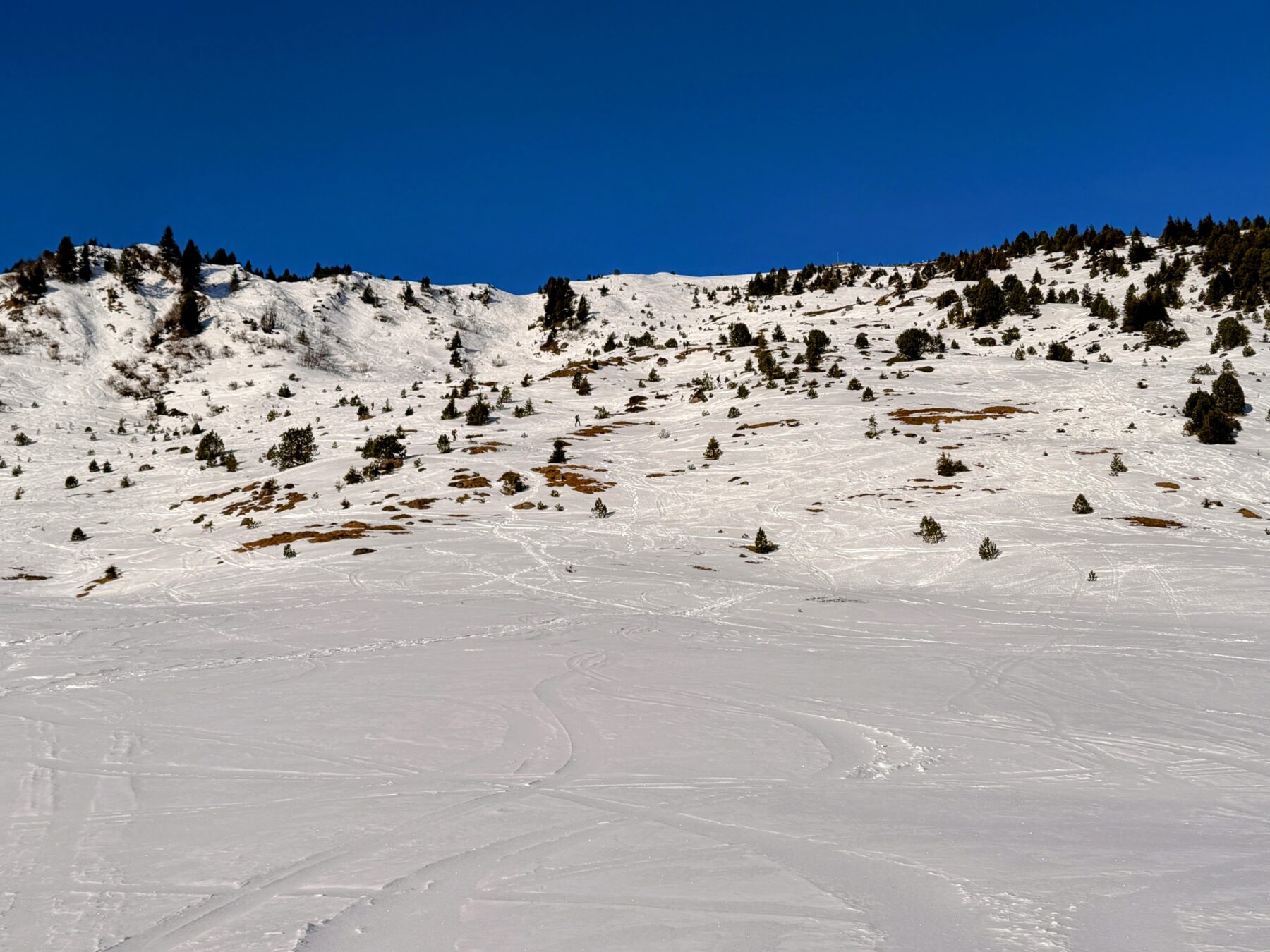 schneeschuhwanderung_rickhubel_fürstein__IMG_9340