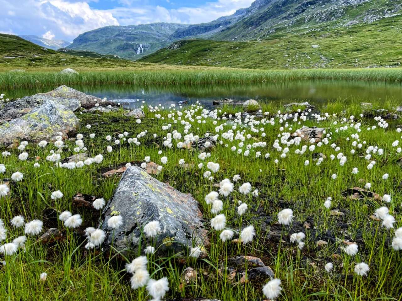 wanderung_hardangervidda_litlos_