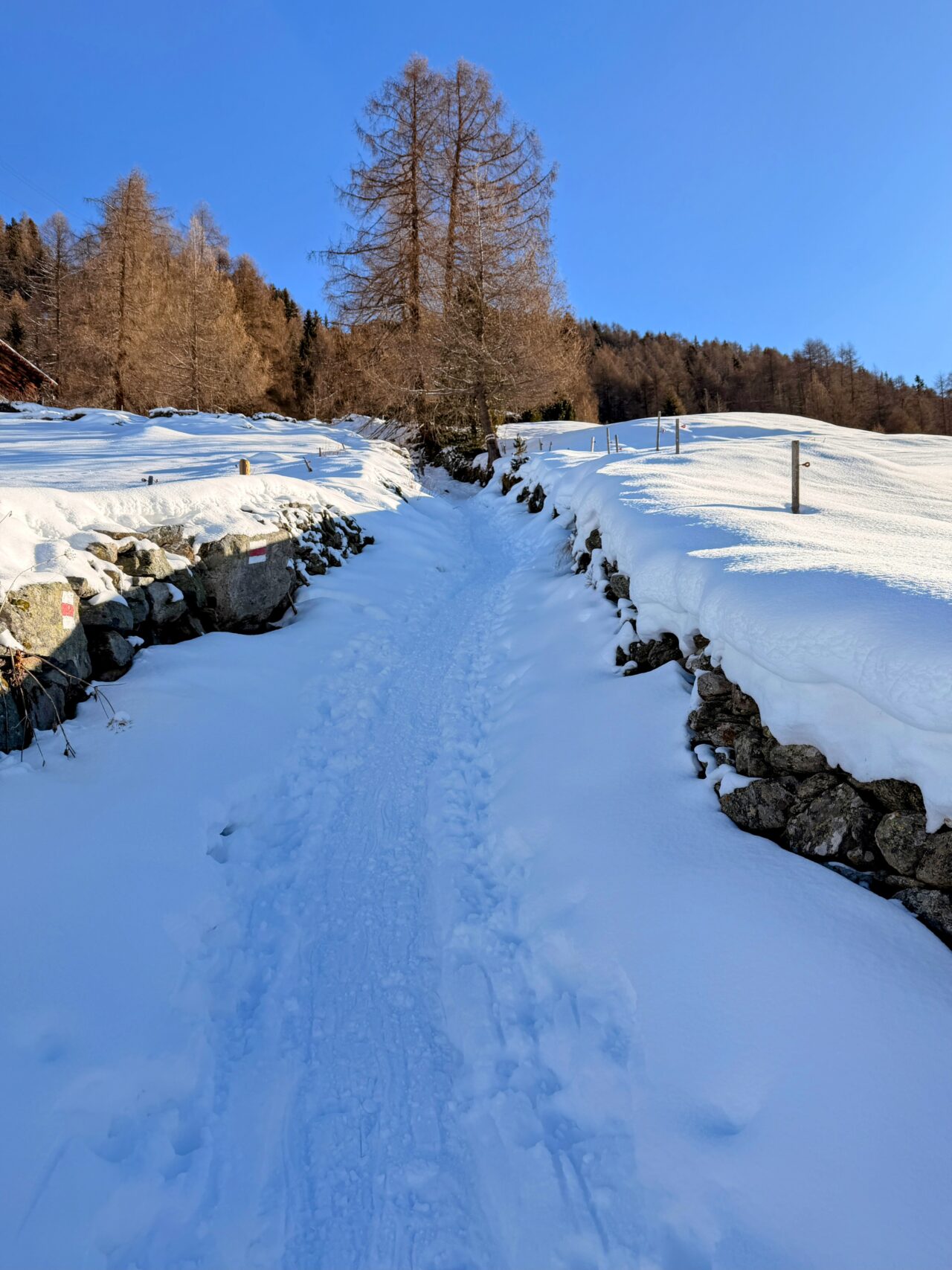 schneeschuhtour_pischa__IMG_9449