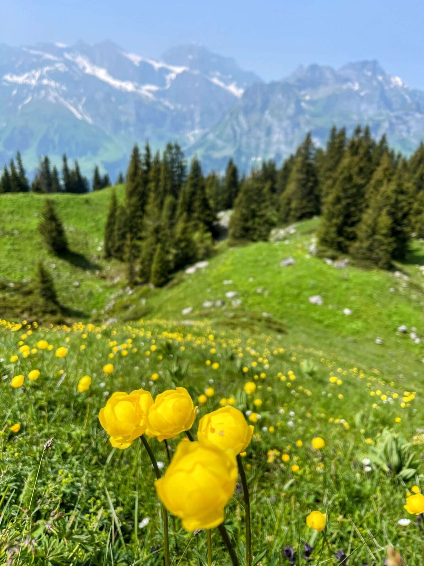 wanderung_engelberg_brunni_bannalp_walenpfad_