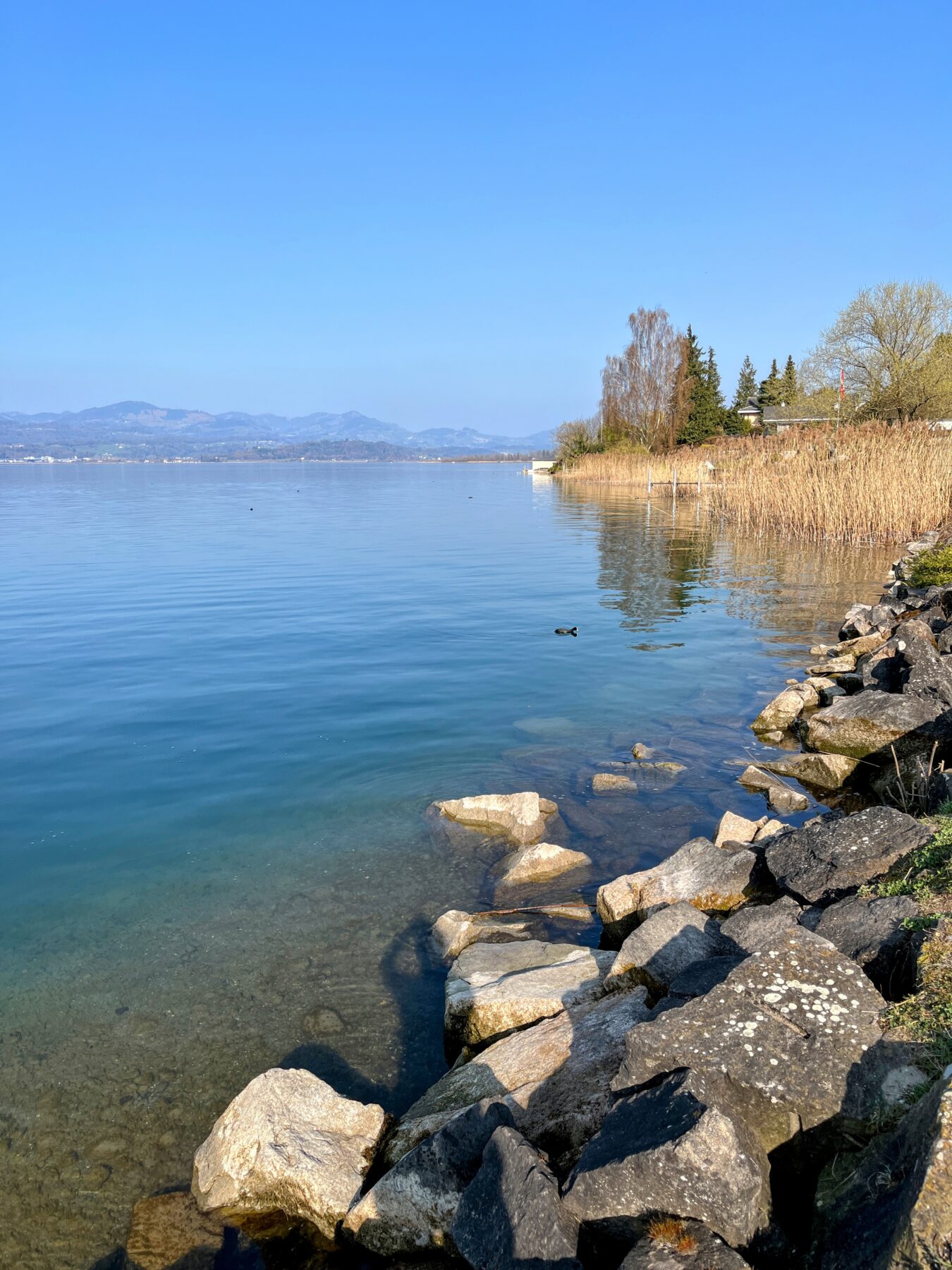 umrundung_zuerichsee_pfäffikon_schmerikon_