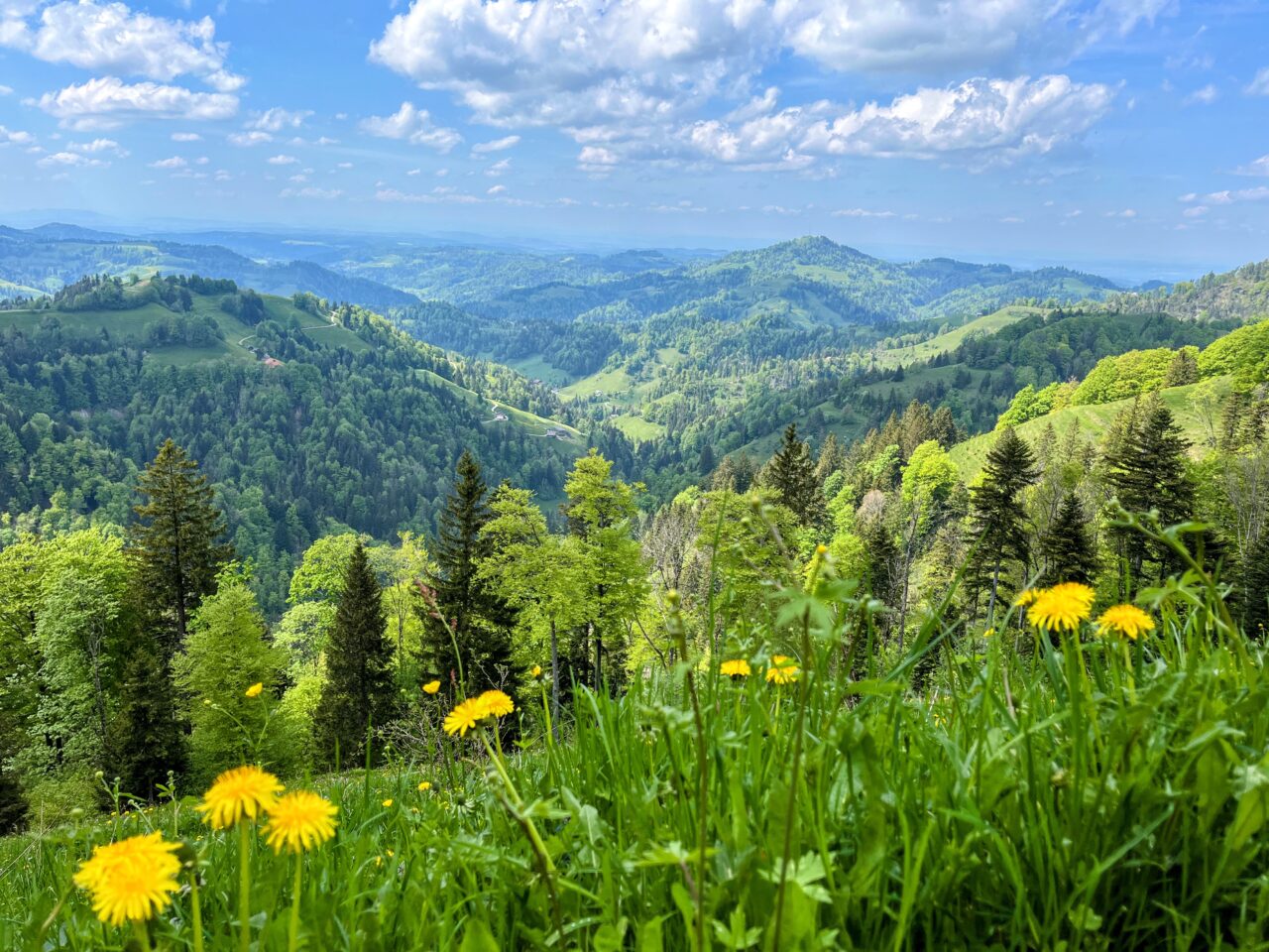 wanderung_schnebelhorn_