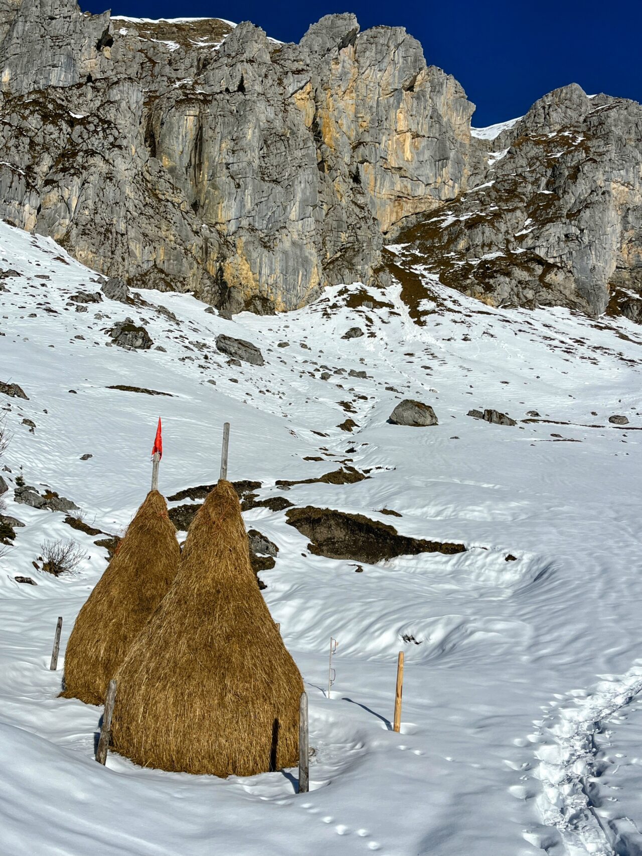 Schneeschuhe_winterwandern_eggberge_hueenderegg_ratzi__IMG_5673