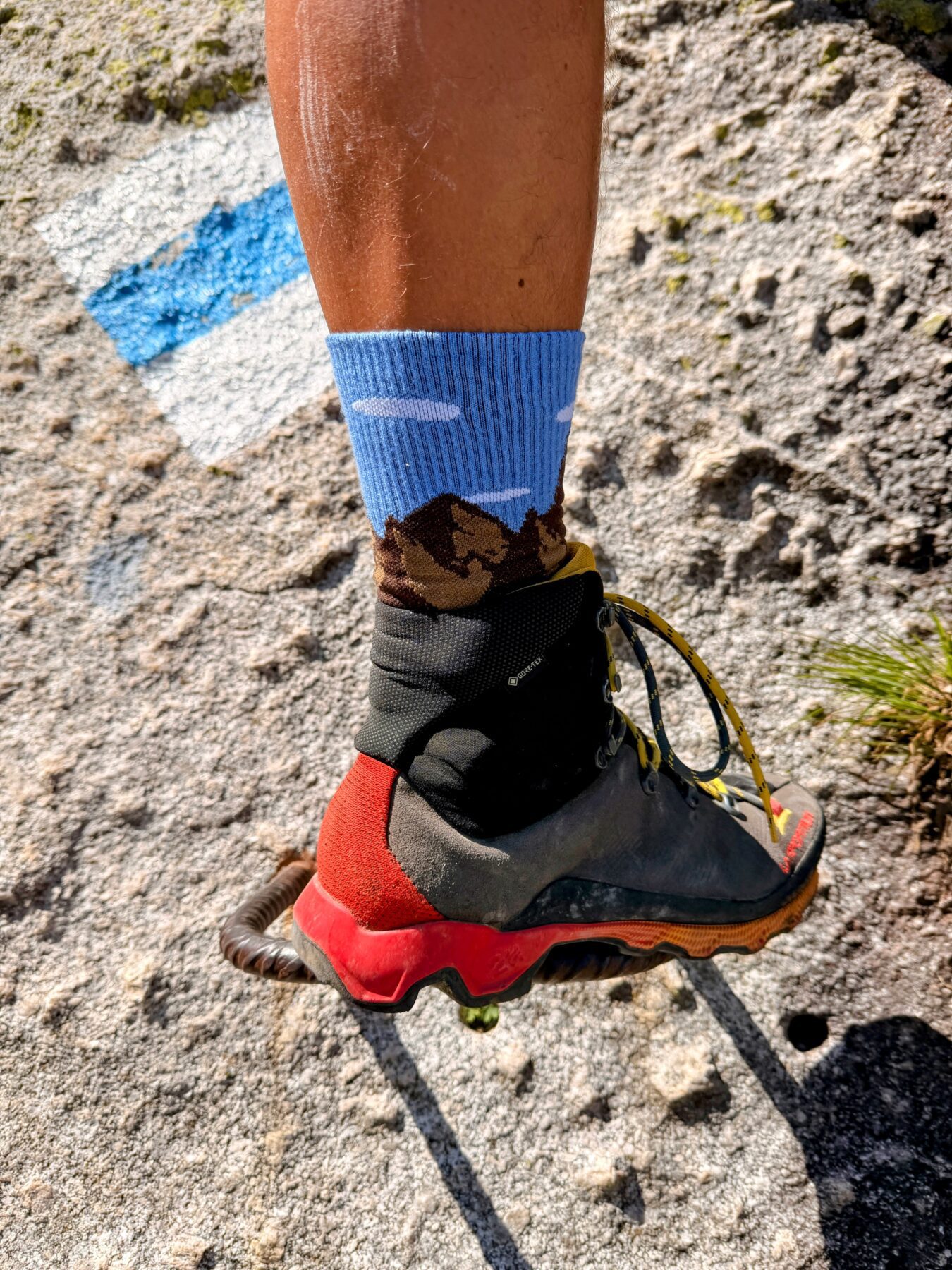 wrightsock__IMG_0194