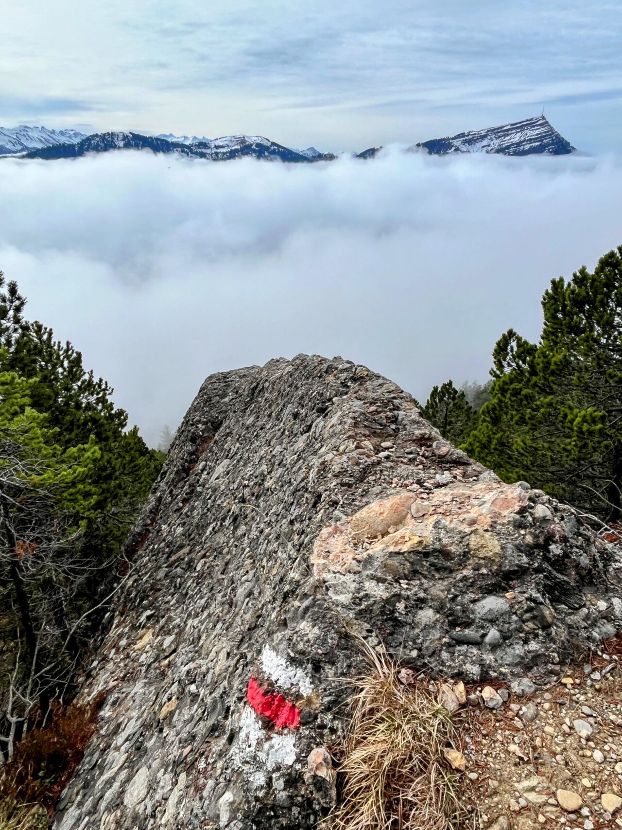 wanderung_gnipen_wildspitz_