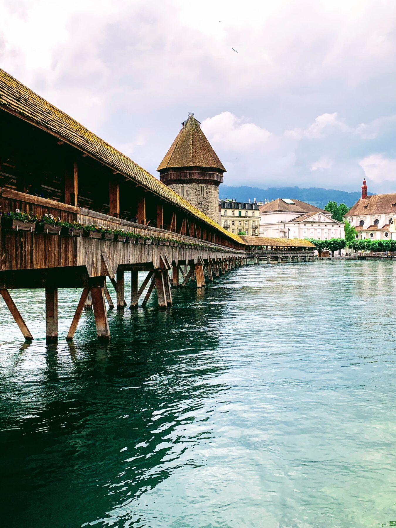 wanderung_waldstaetterweg_kuesnacht_am_rigi_luzern_