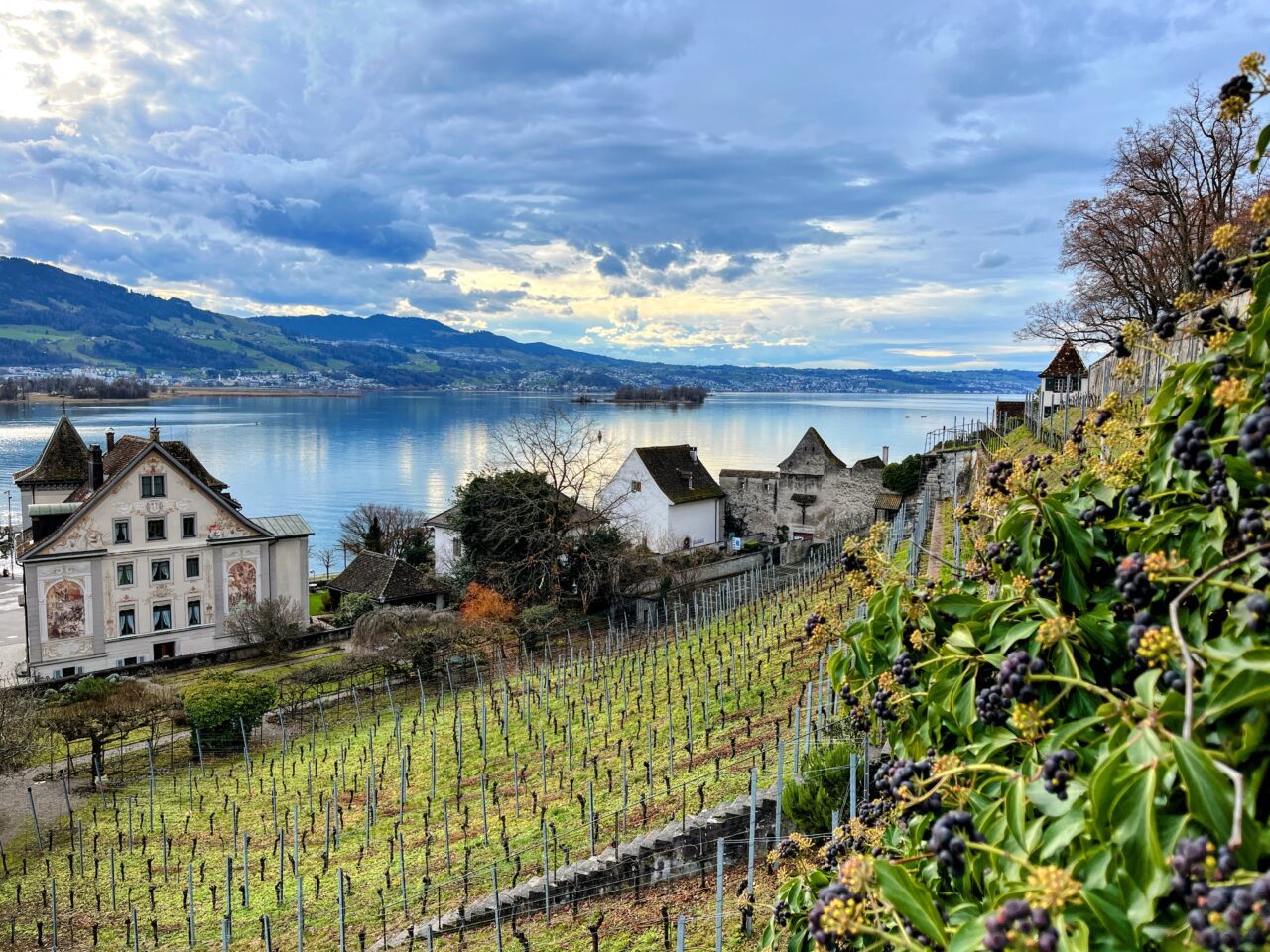 wanderung_pfaeffikon_rapperswil_