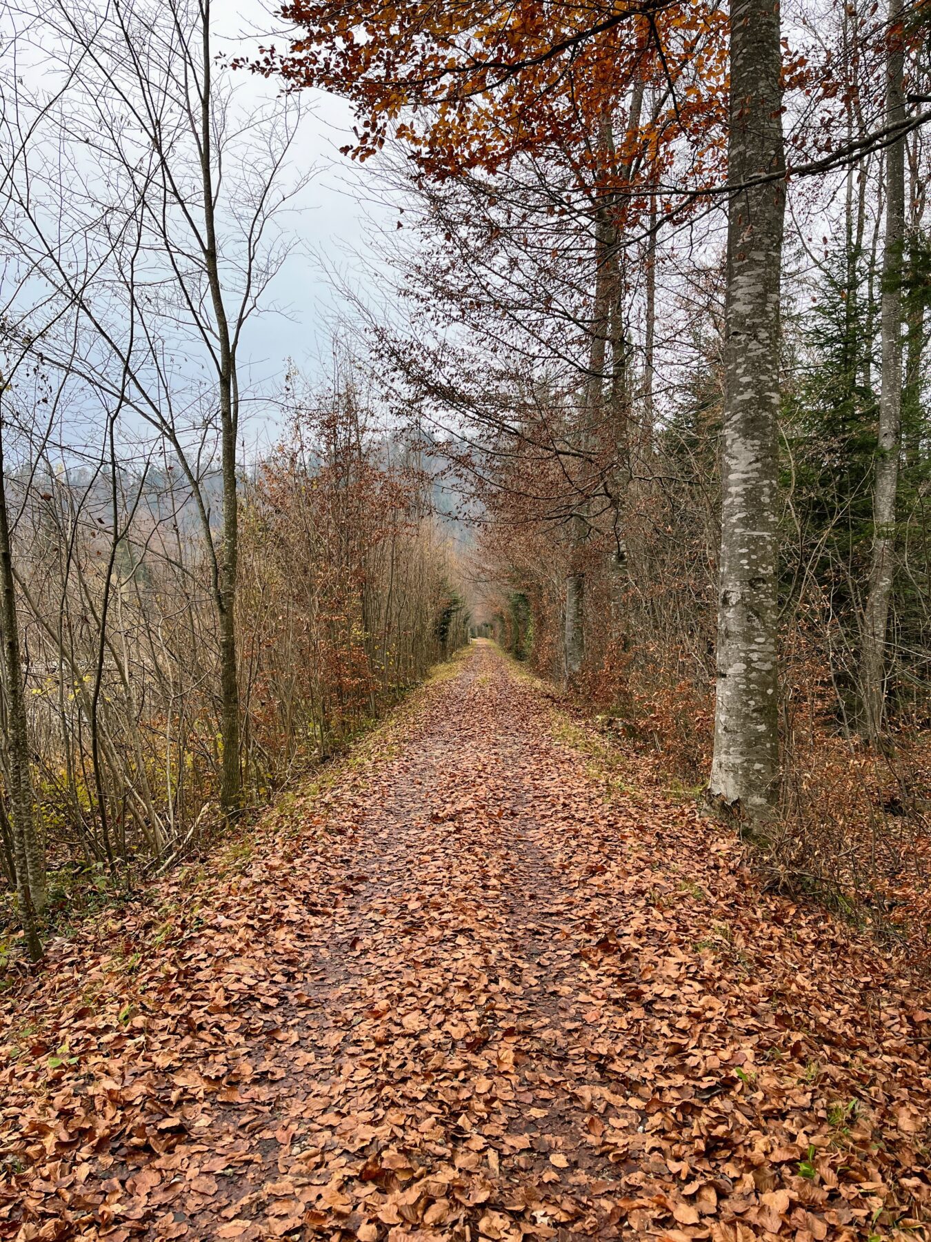 trans-swiss-trail-etappe-12-und-13-luetzelfluh-langnau-eggiswil-