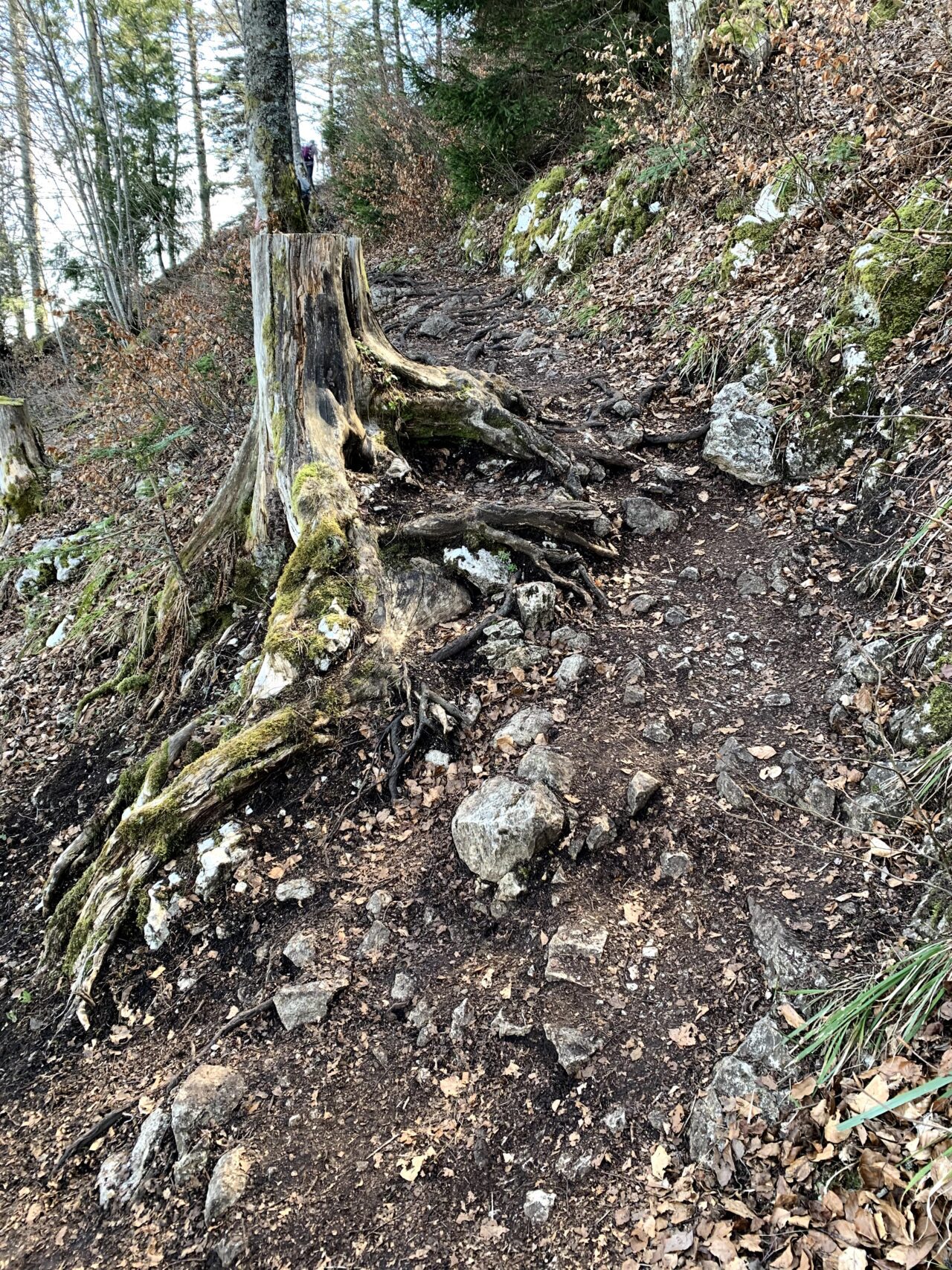 wanderung_creux_du_van_
