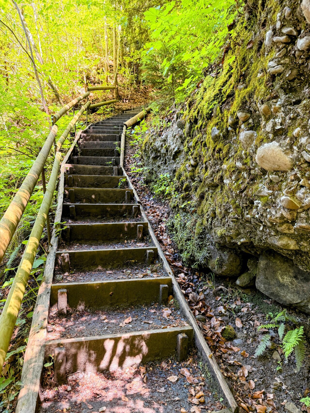 wanderung_lorzentobel_